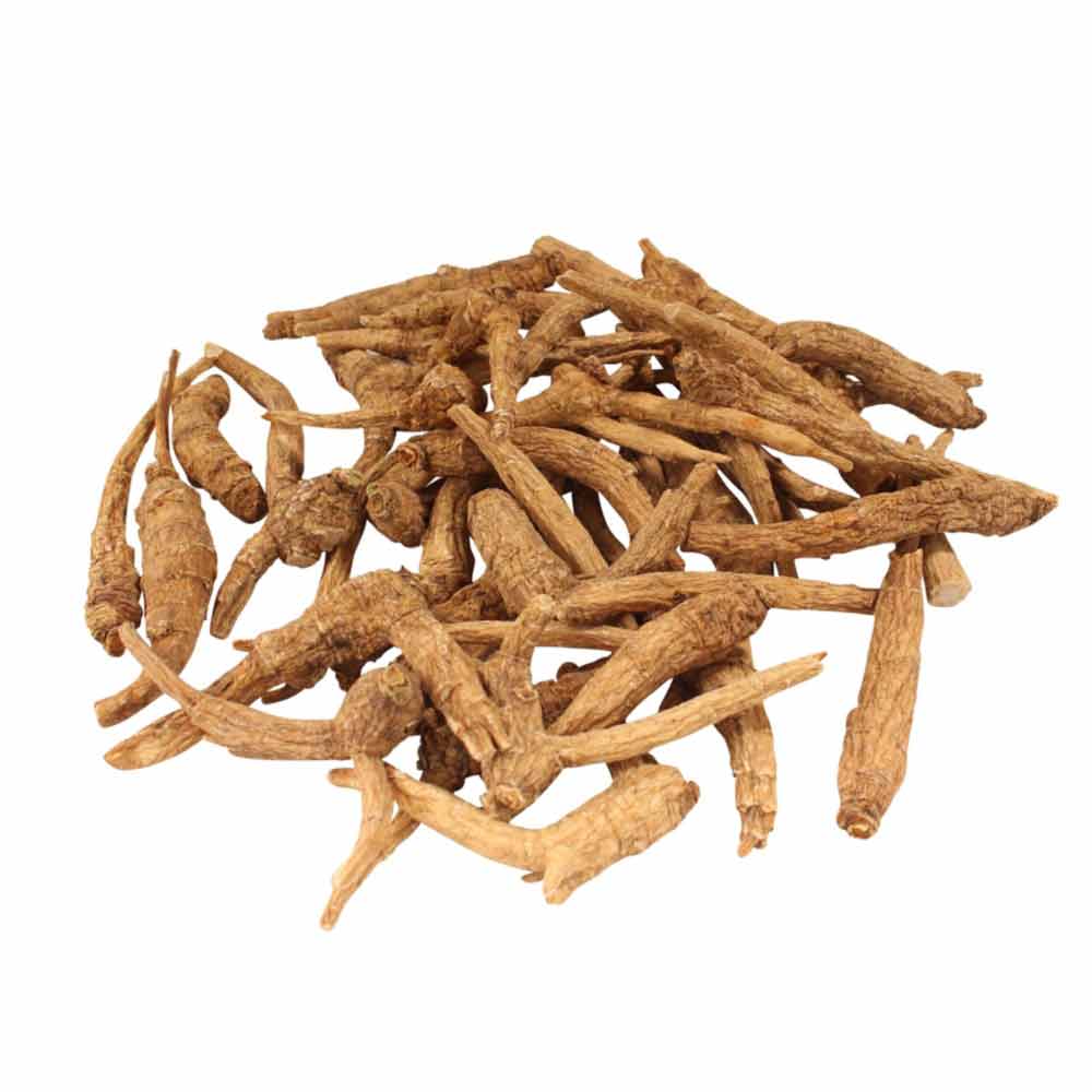Ginseng Root 3 Year Old