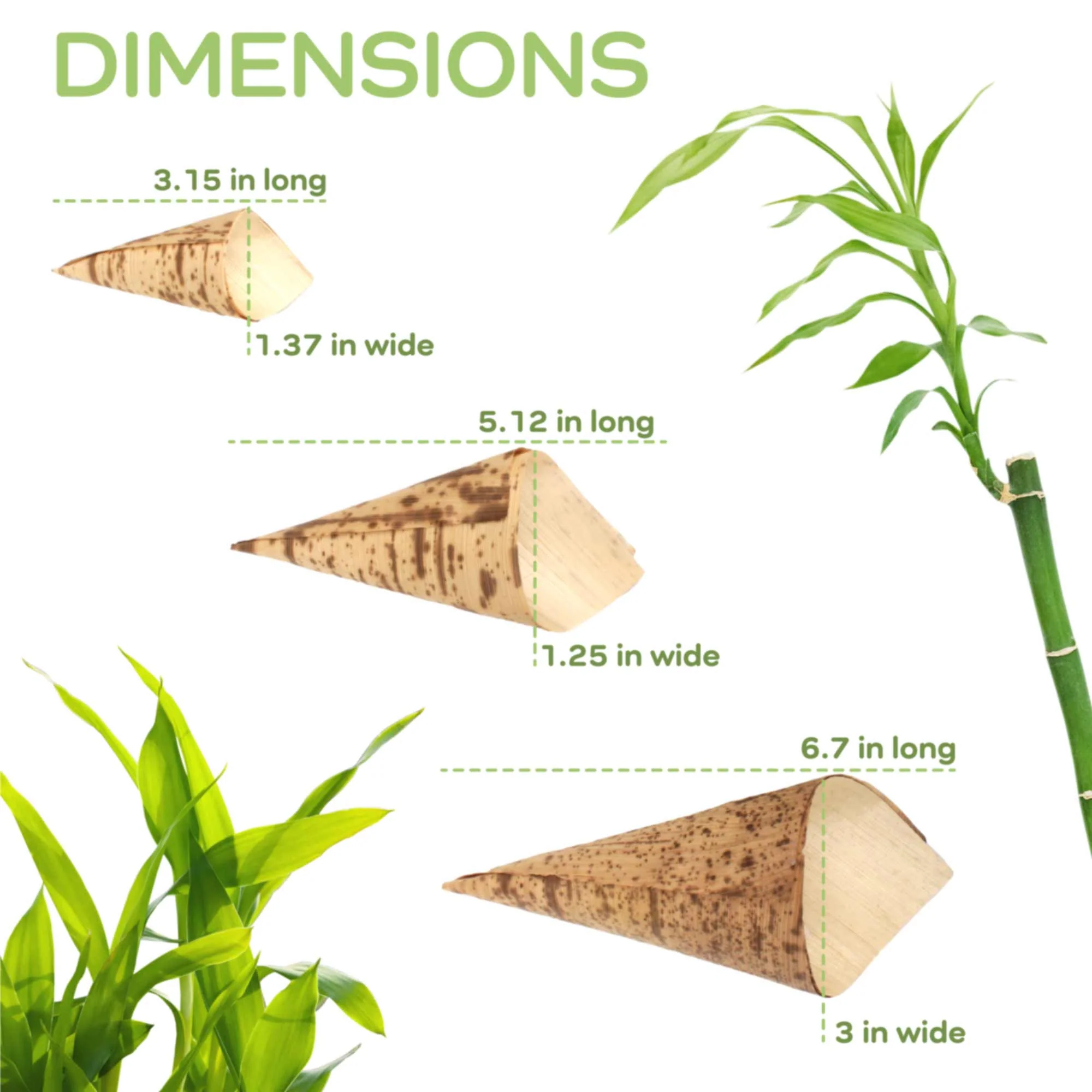 Bamboo Leaf Cone - Image 3