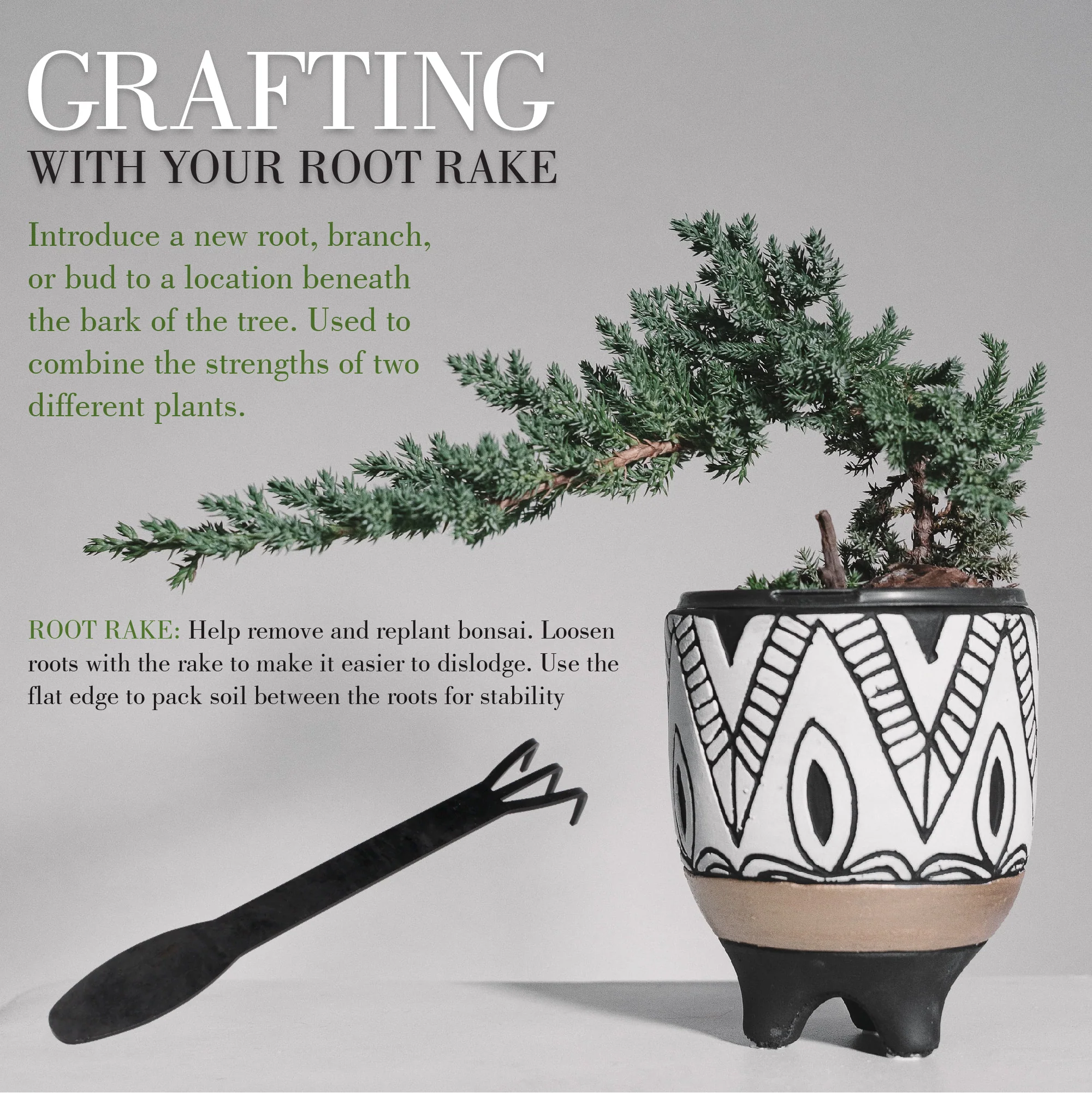 Bonsai 5pc Basic Care Set - Image 9