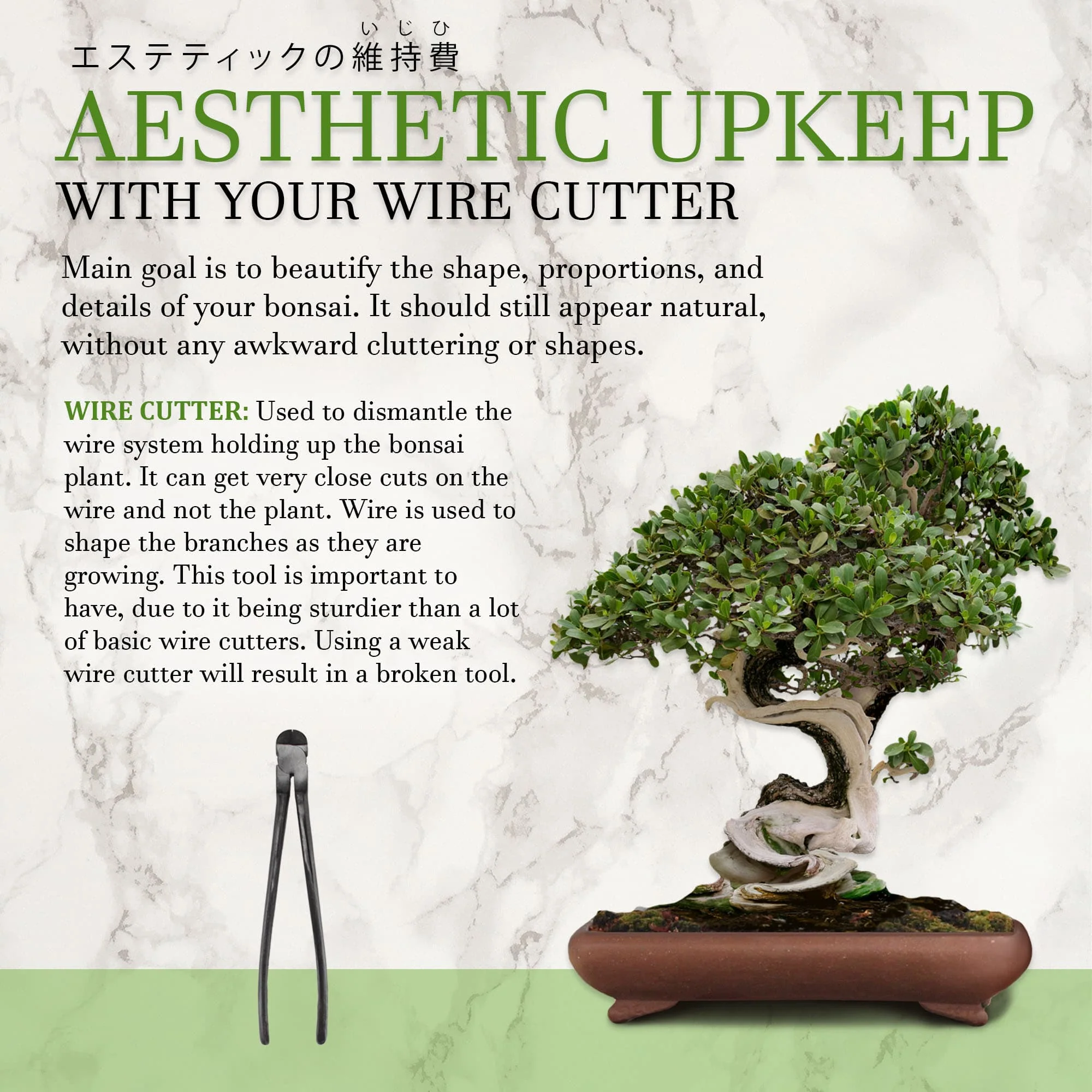 Bonsai 8" Wire Cutter - Image 4