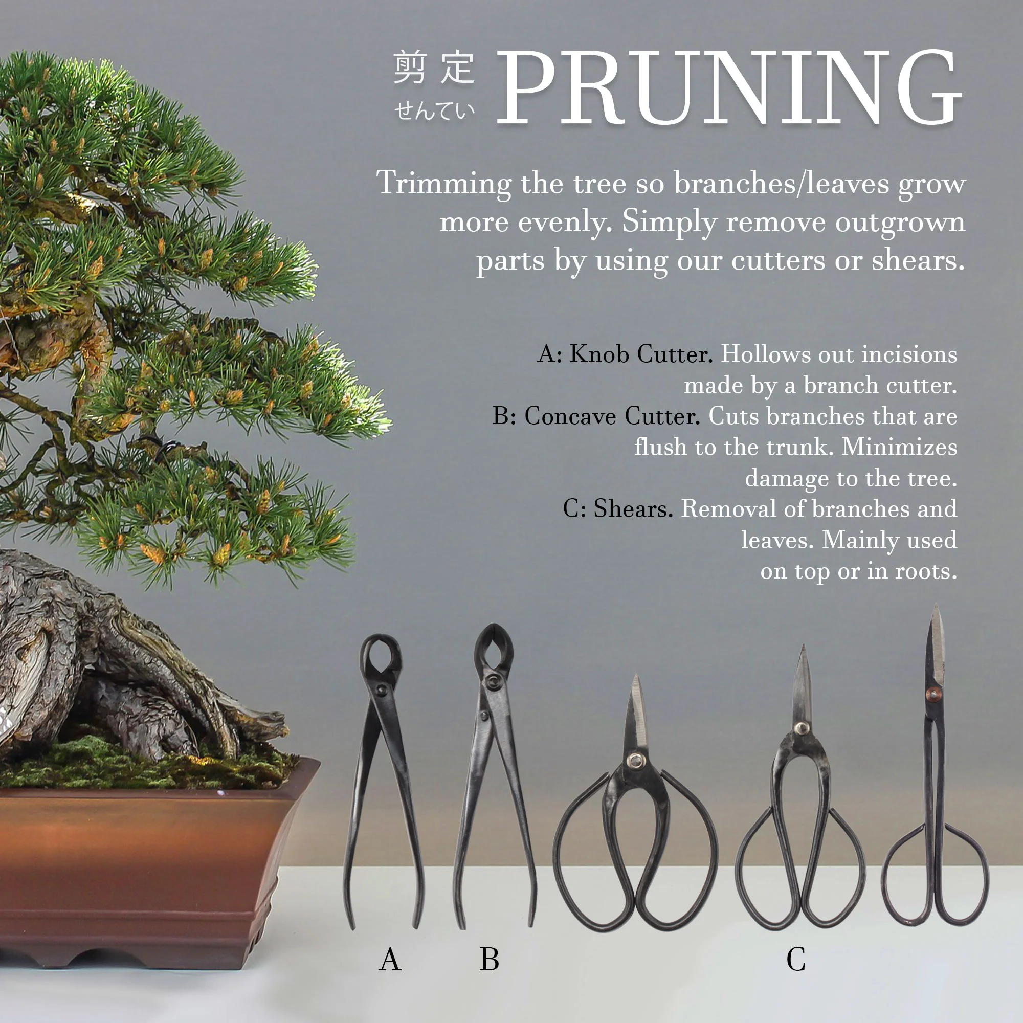 Bonsai 5pc Shear Set - Image 4
