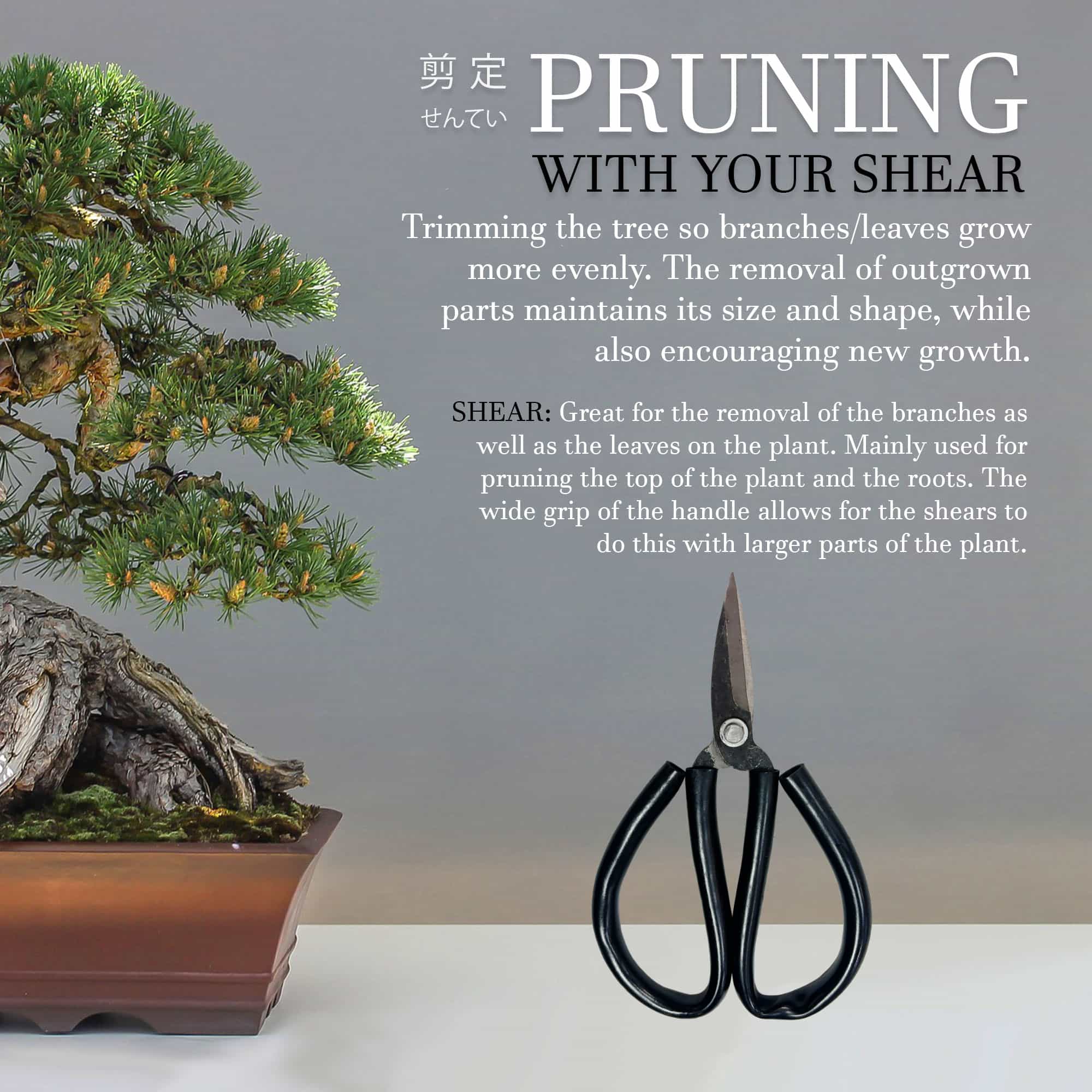 Rubber Handle Bonsai Scissor - Image 2