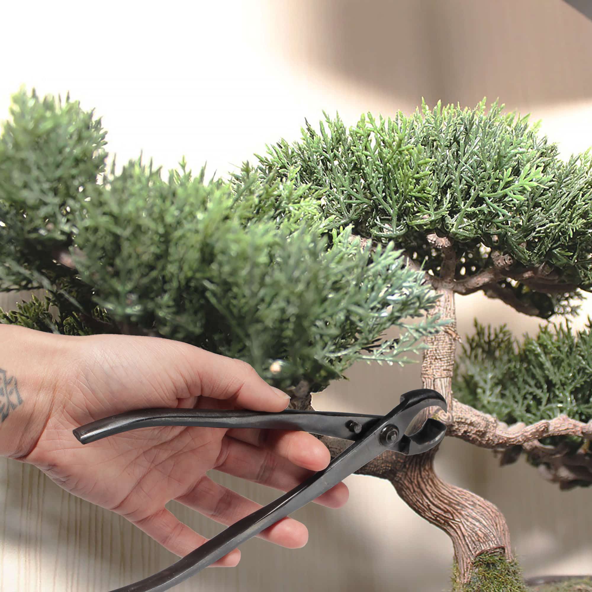 Bonsai Basics Set - Knob Cutter and Trimming Shear - Image 6