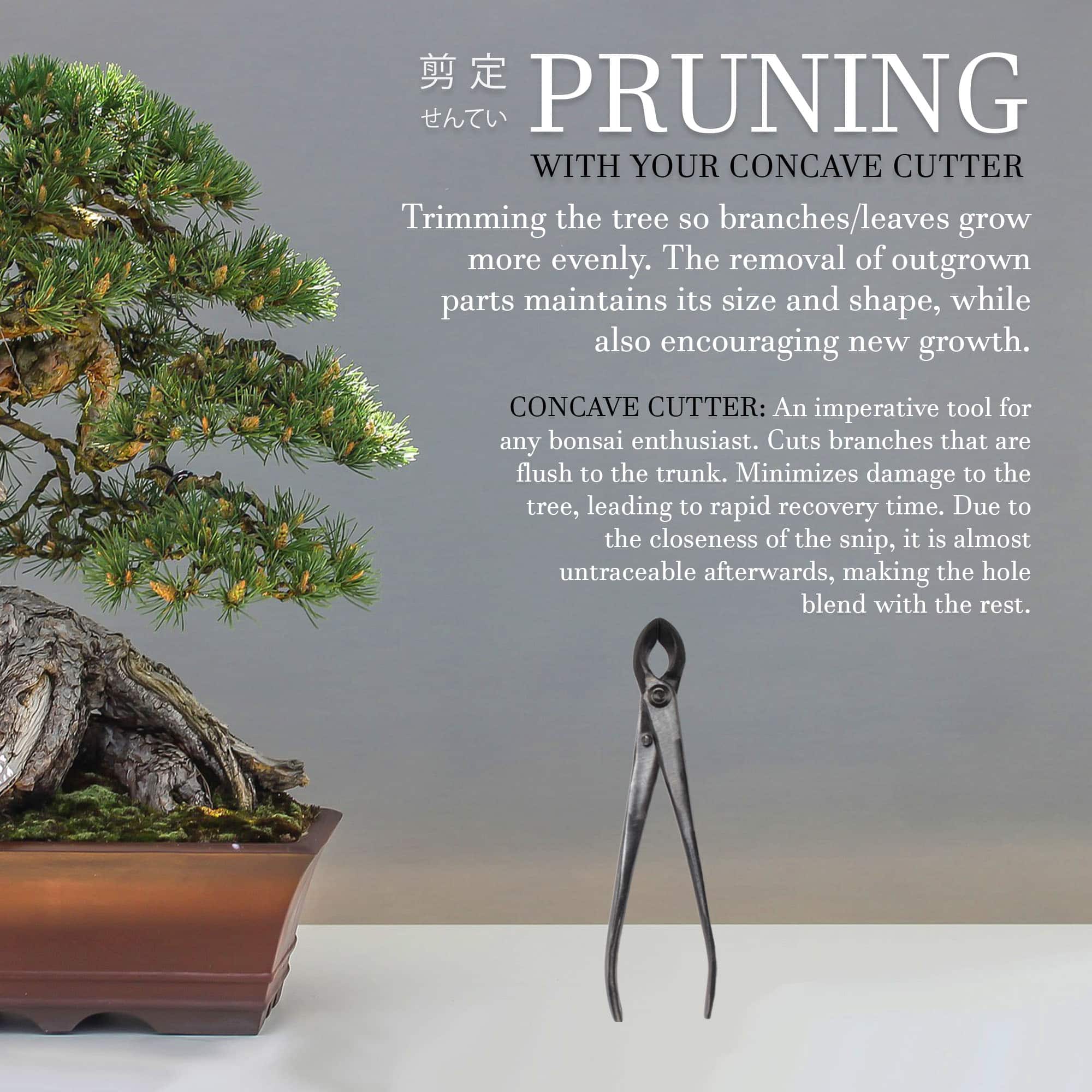 Bonsai 10.5'' Concave Cutter - Image 4