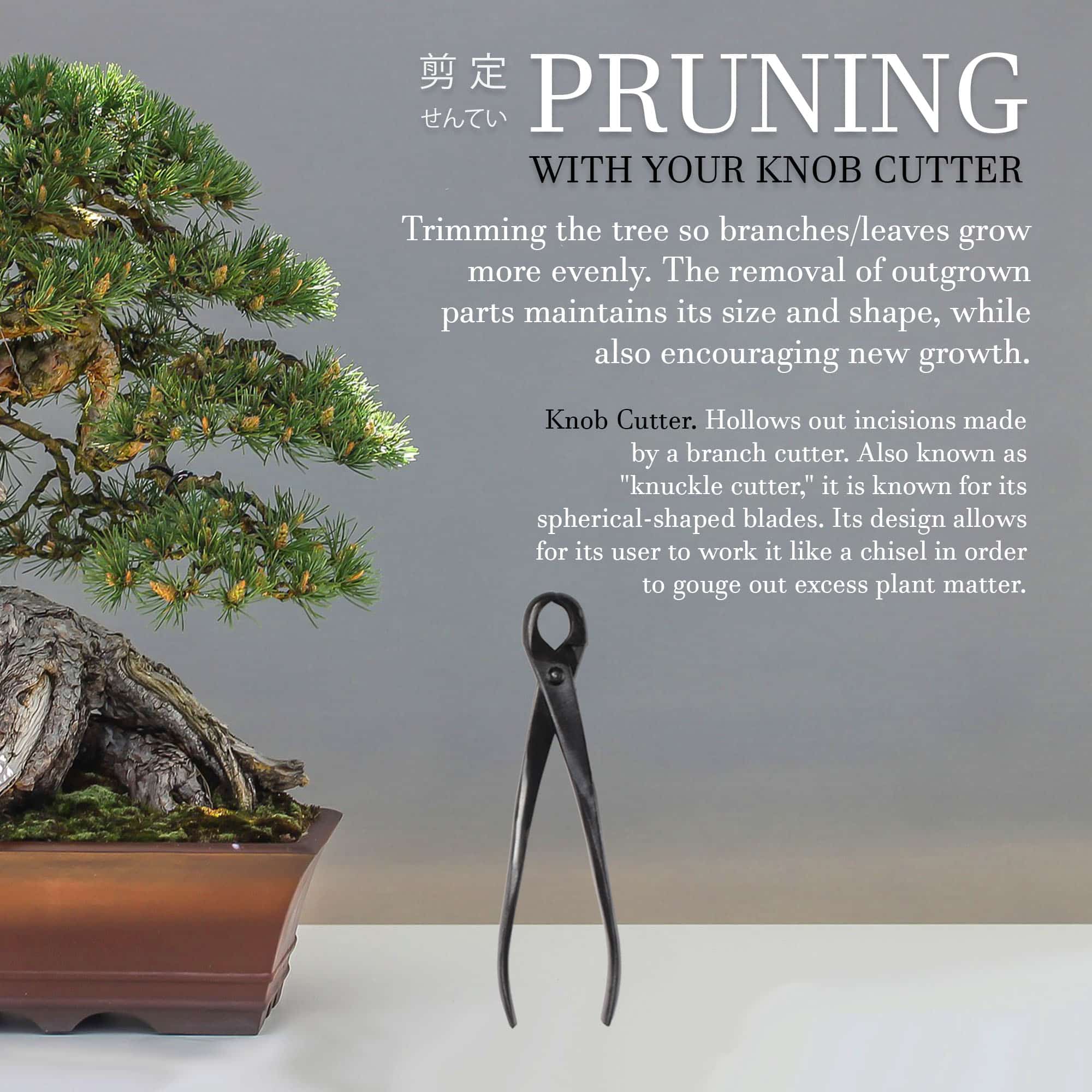 Bonsai 10.63" Knob Cutter - Image 3