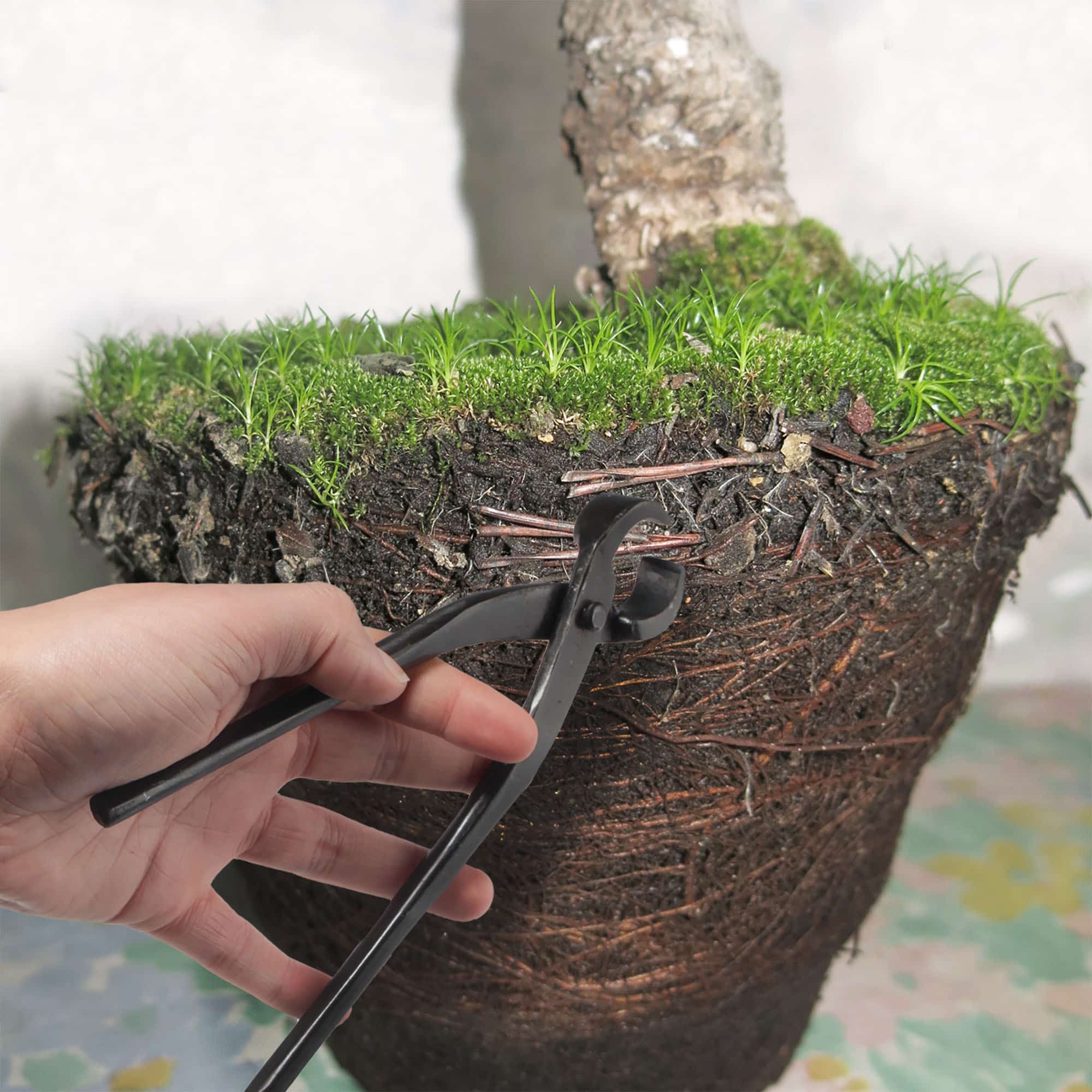 Bonsai Root Cutter - Image 2