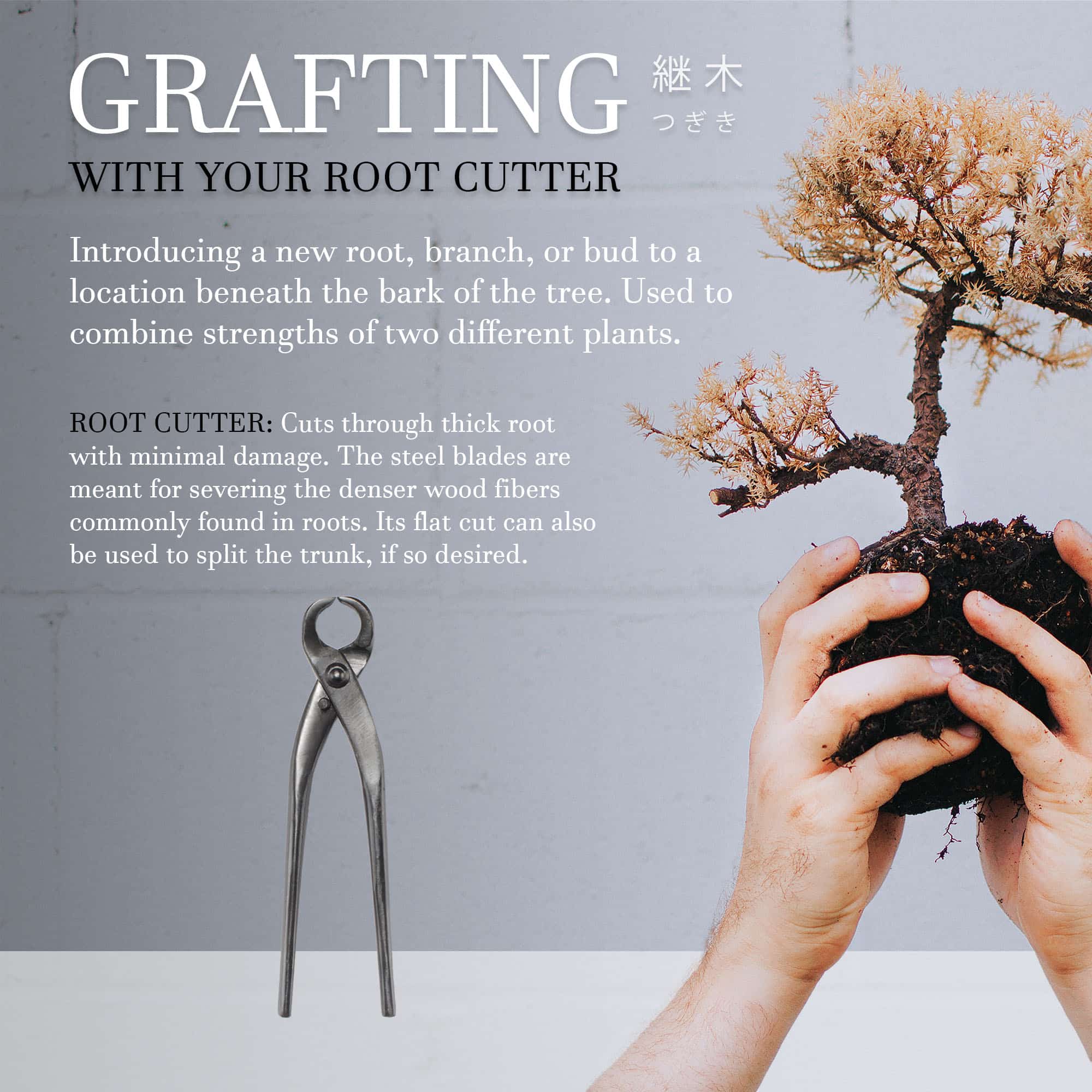 Bonsai Root Cutter - Image 4
