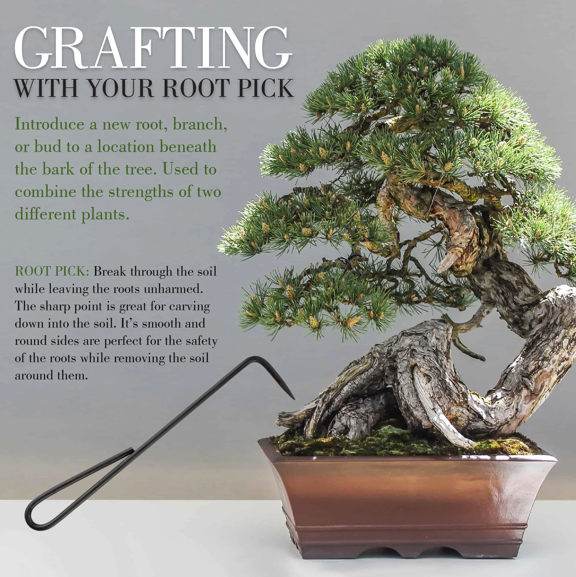 Root Care Set - Image 2
