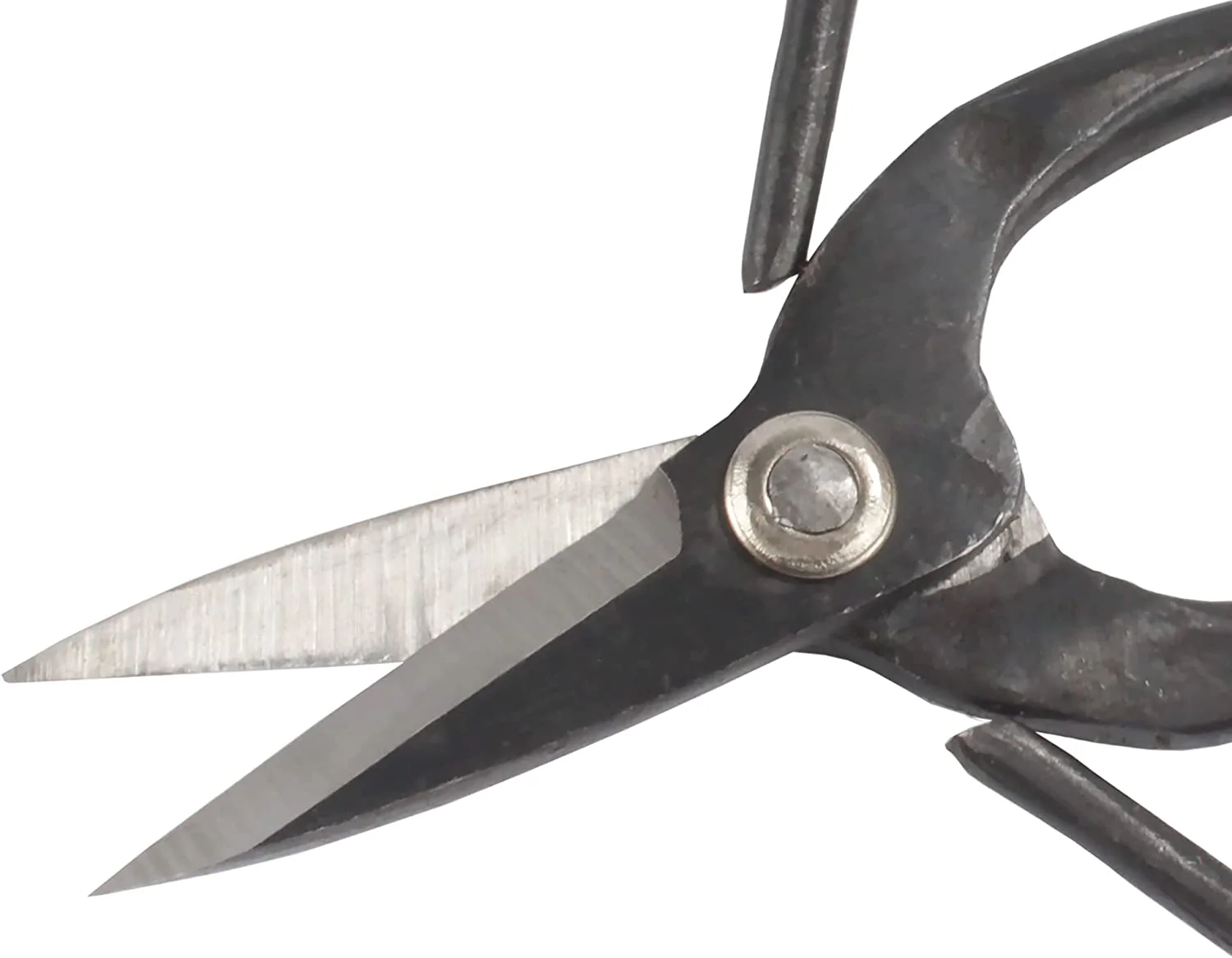 Bonsai 7.2" Trimming Shears and 7" Butterfly Shear - Image 4