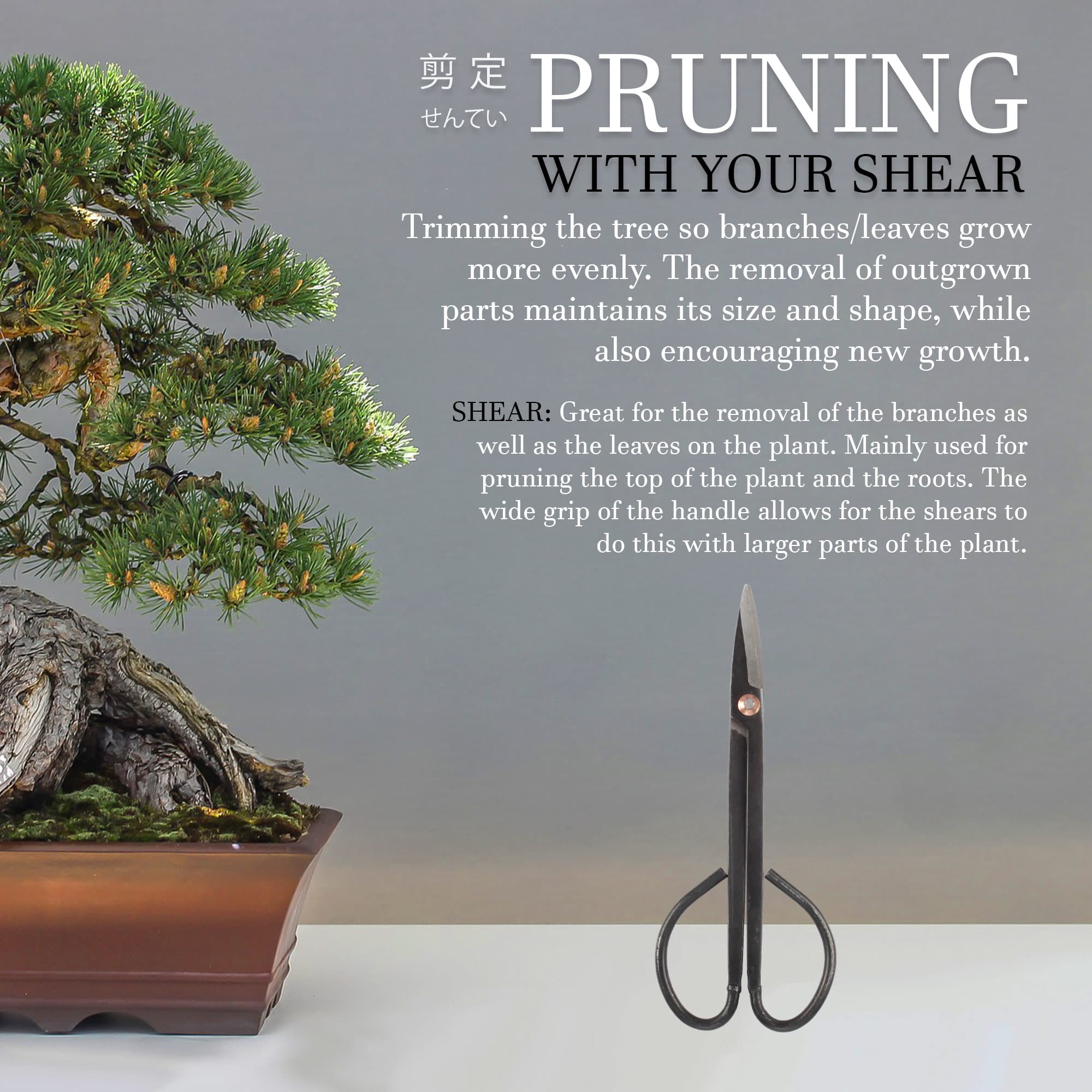 Bonsai 7.2" Trimming Shears and 7" Butterfly Shear - Image 6