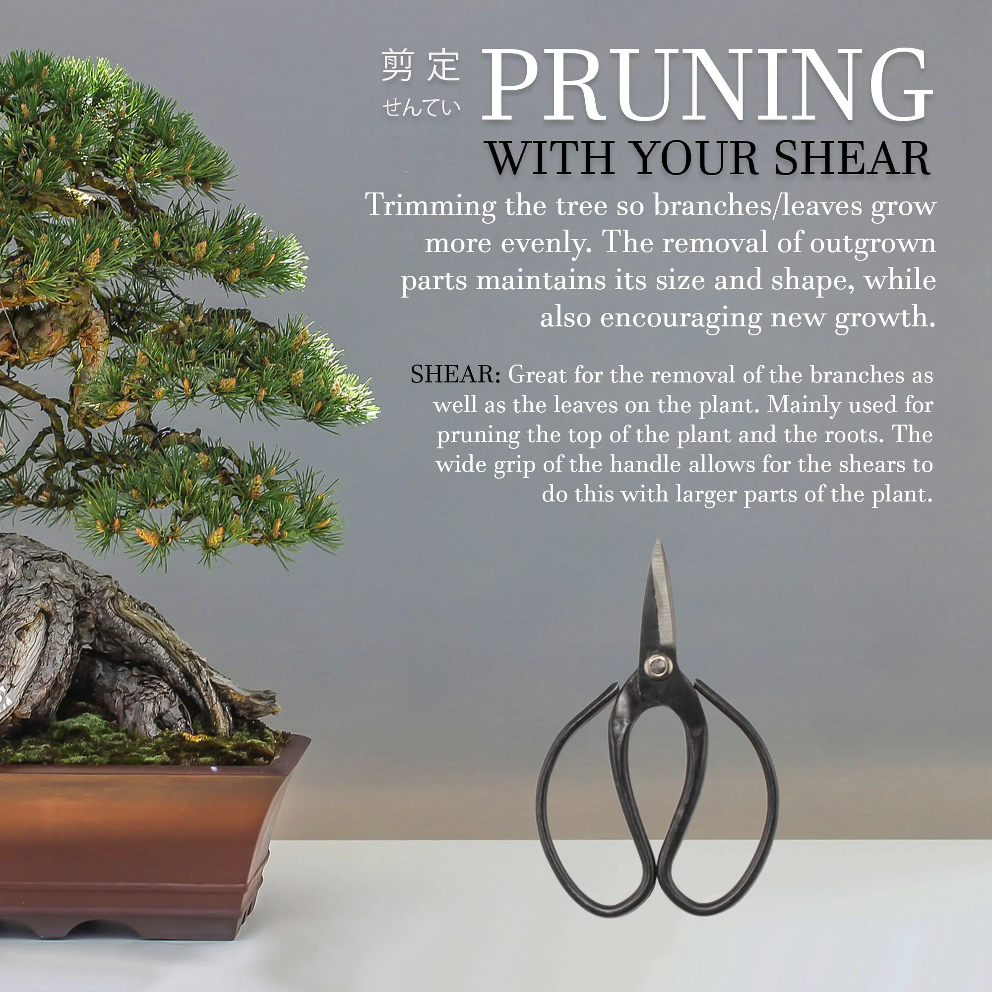 Bonsai 7.2" Trimming Shears and 7" Butterfly Shear - Image 7
