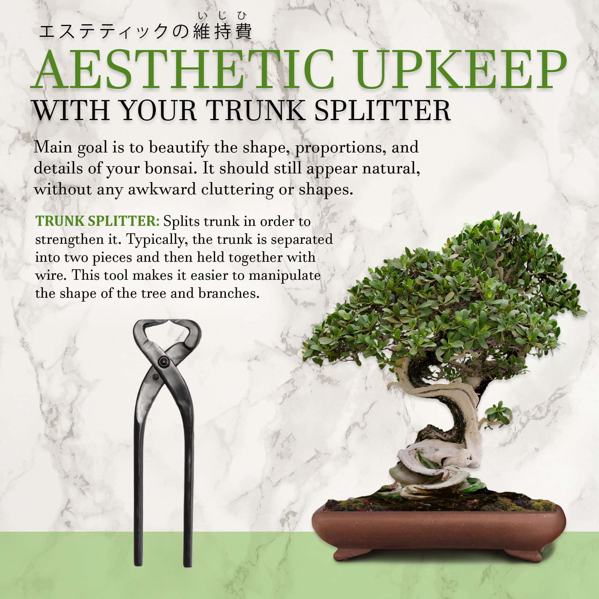 Bonsai Trunk Splitter - Image 4