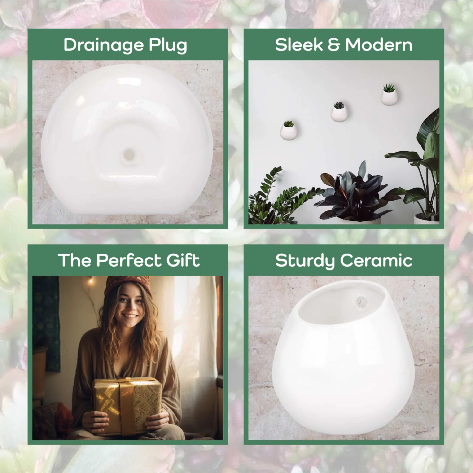 Ceramic Succulent Pot Sets - Image 3