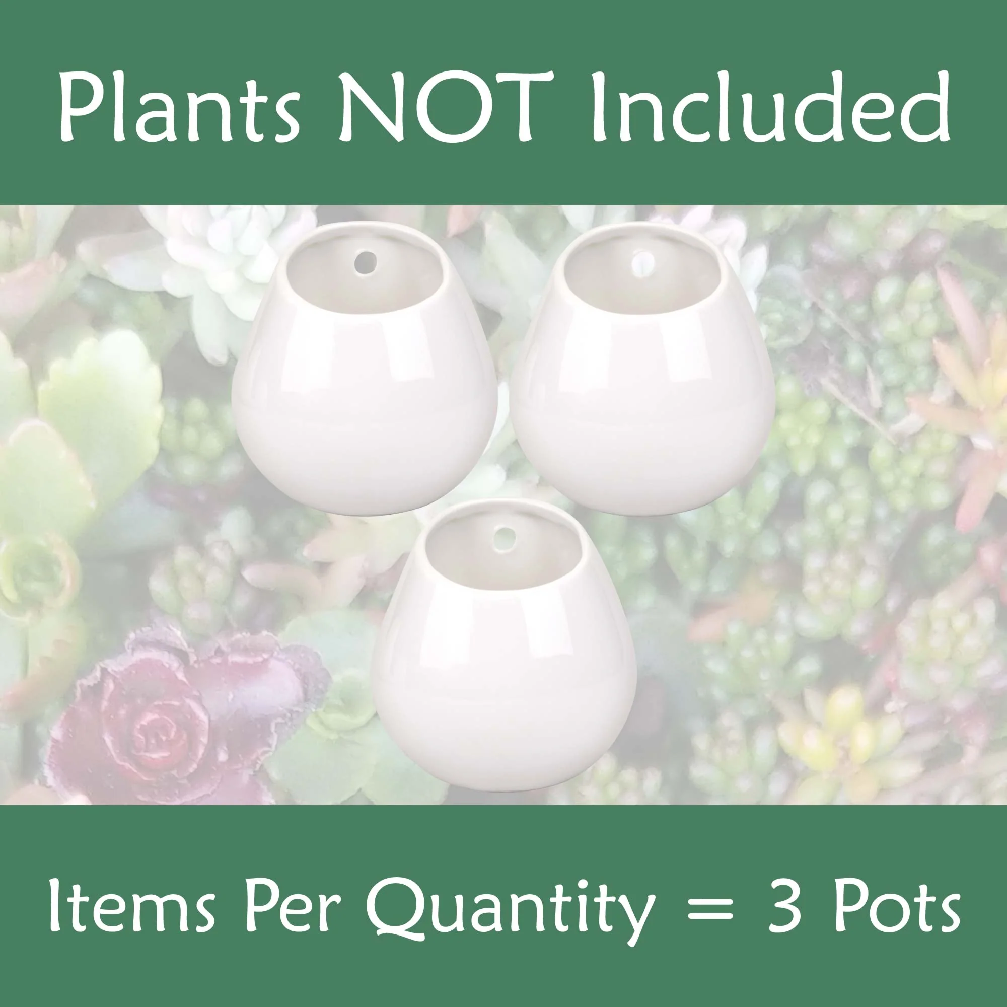 Ceramic Succulent Pot Sets - Image 5