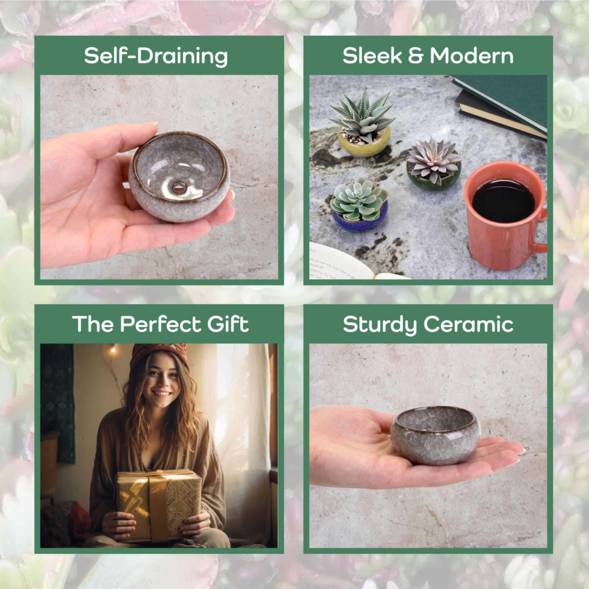 Ceramic Colored Small Plant and Succulent Pot Sets - Image 3