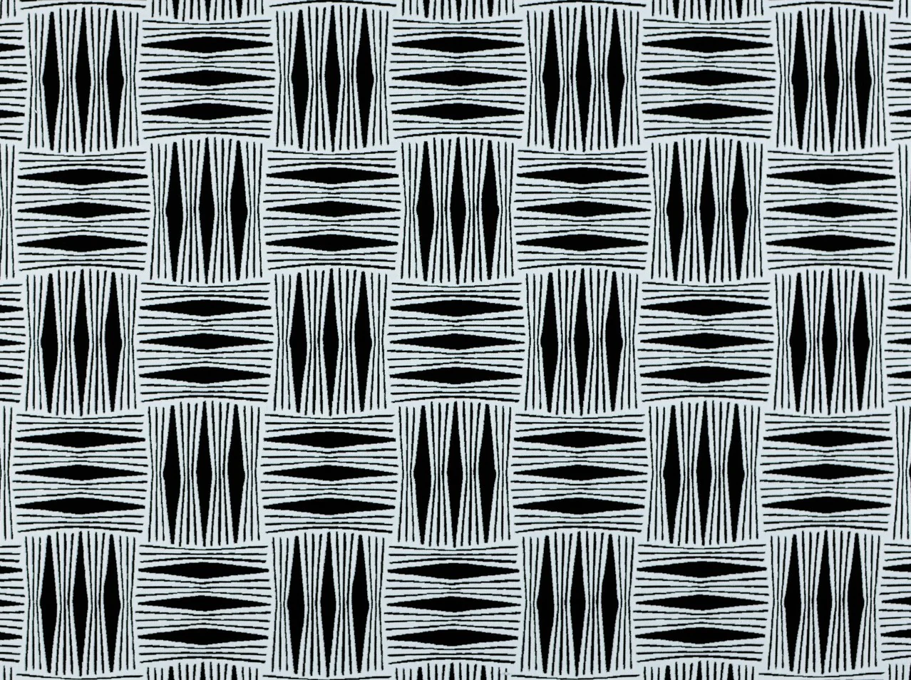 Kizomba Ebony/Ivory Covington Upholstery Fabric