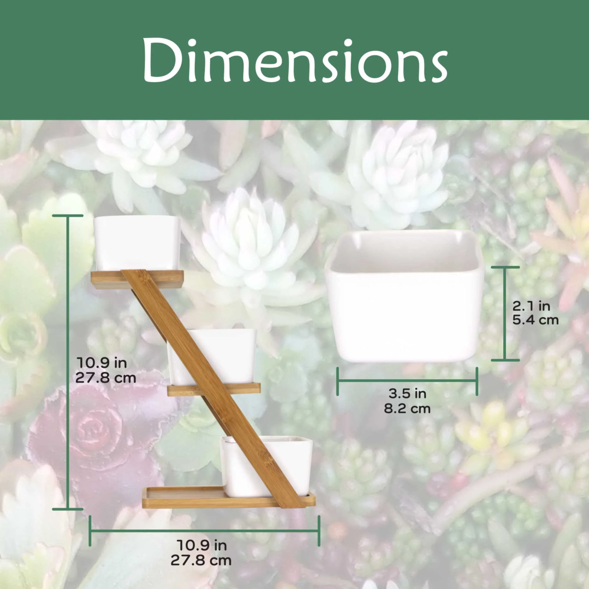 Succulent Pot Plant Display Set - Image 3