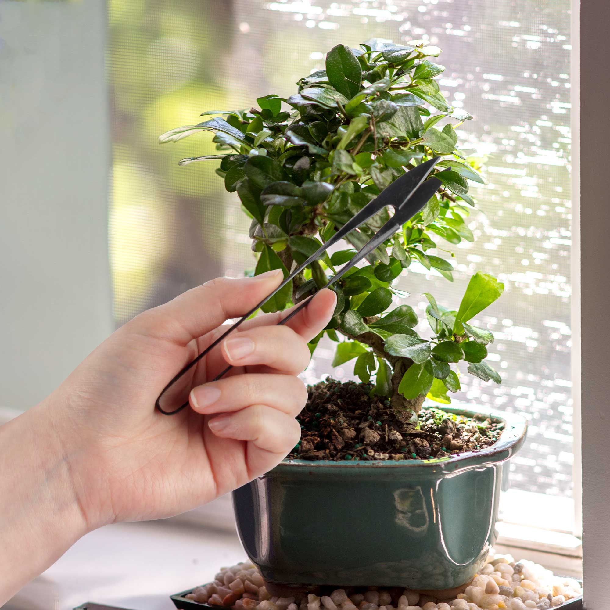 Bonsai 6'' Leaf Cutter - Image 2