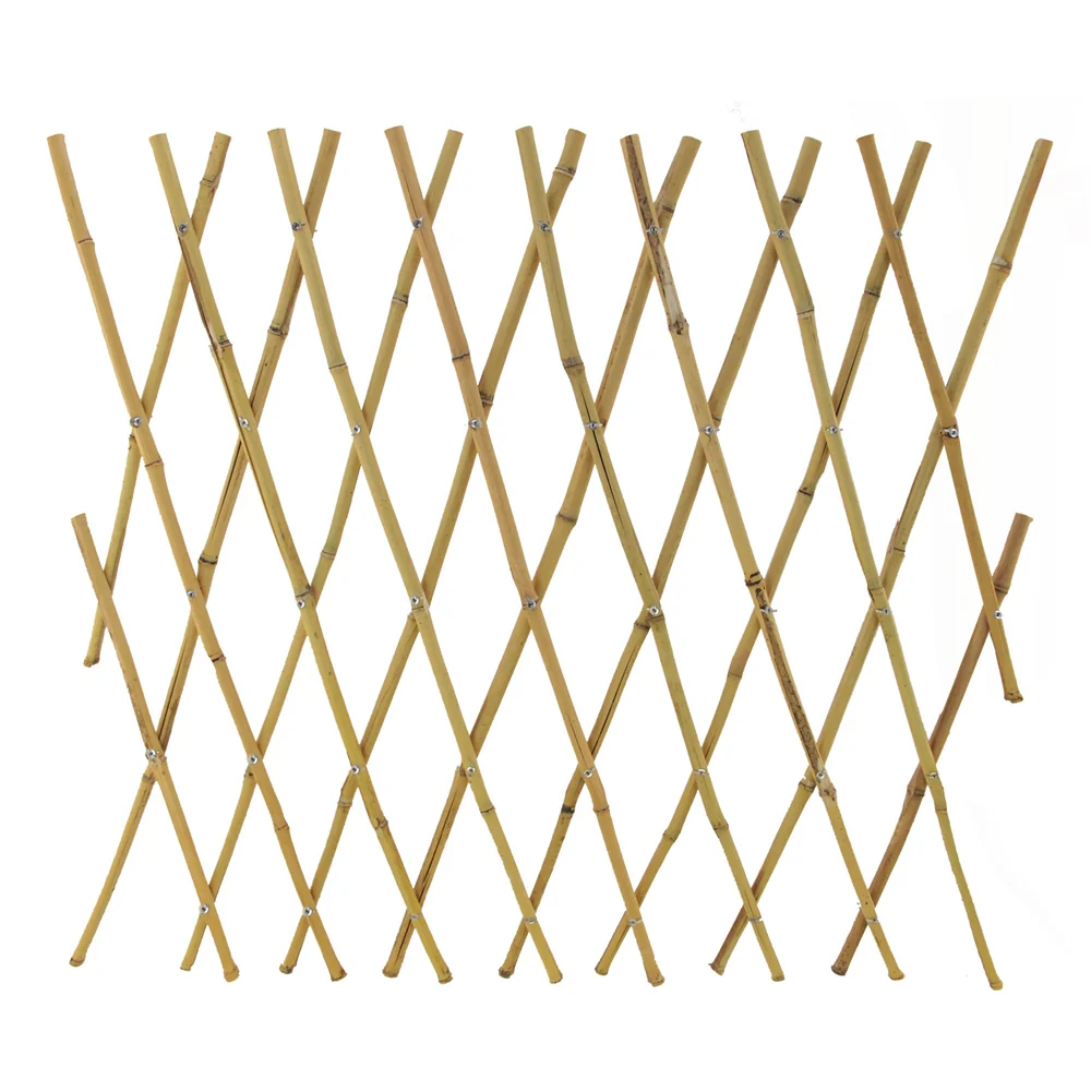 Natural Bamboo Fences Unfold