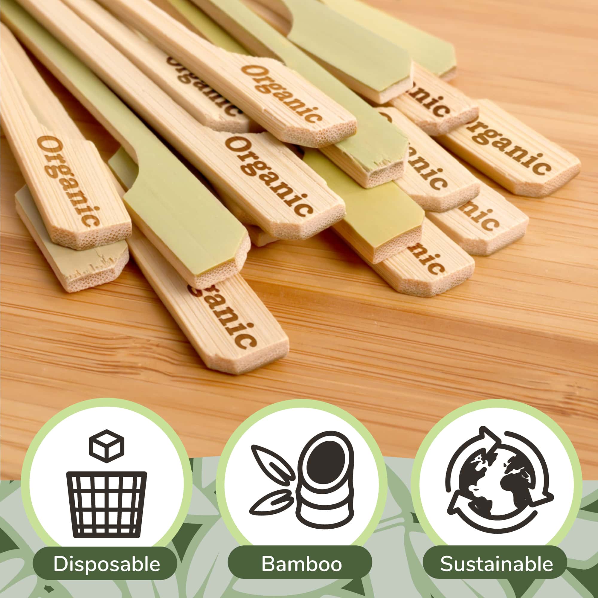 Organic Paddle Bamboo Food Picks - Image 3