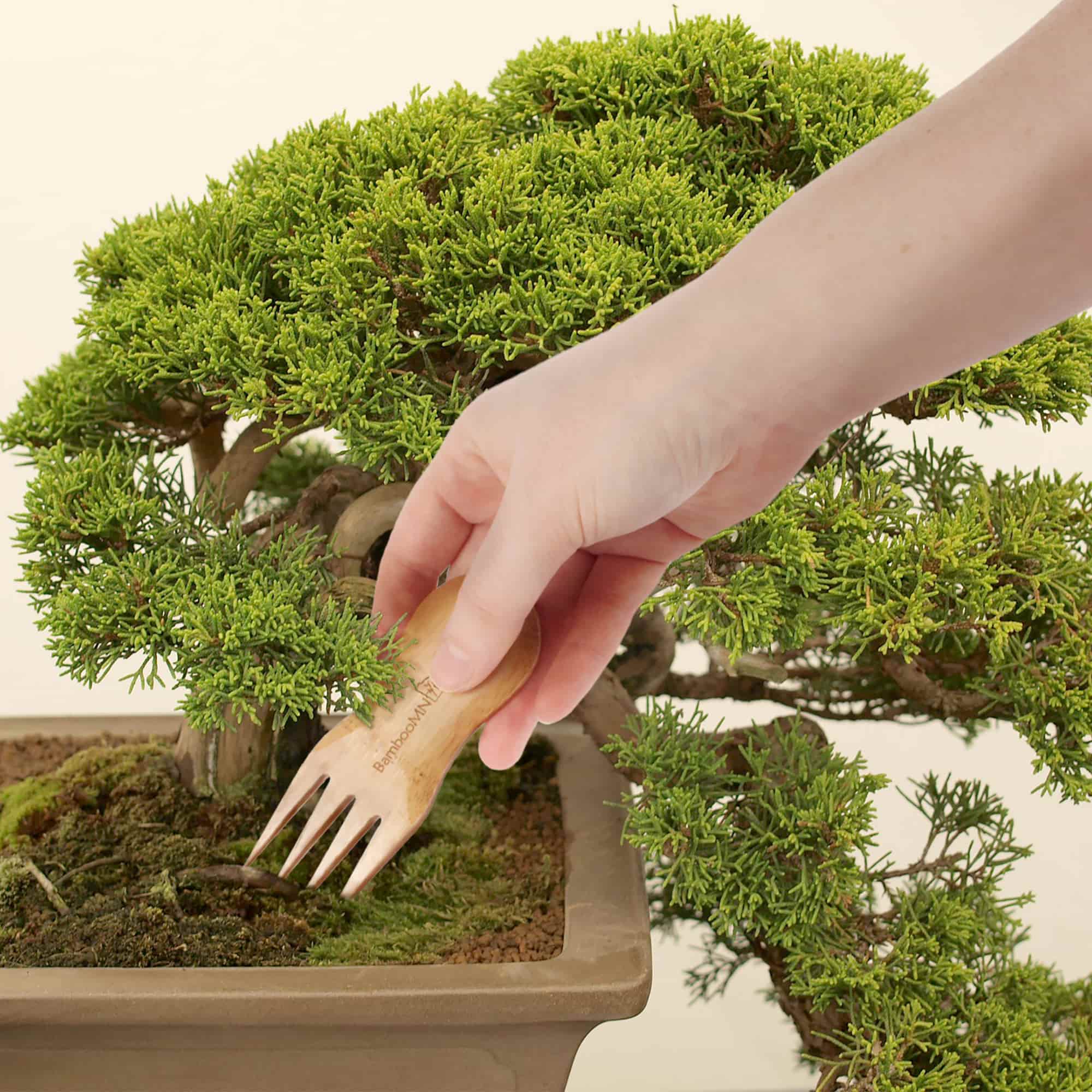 Bonsai Tree Pruning Starter Tool Kit - Image 5