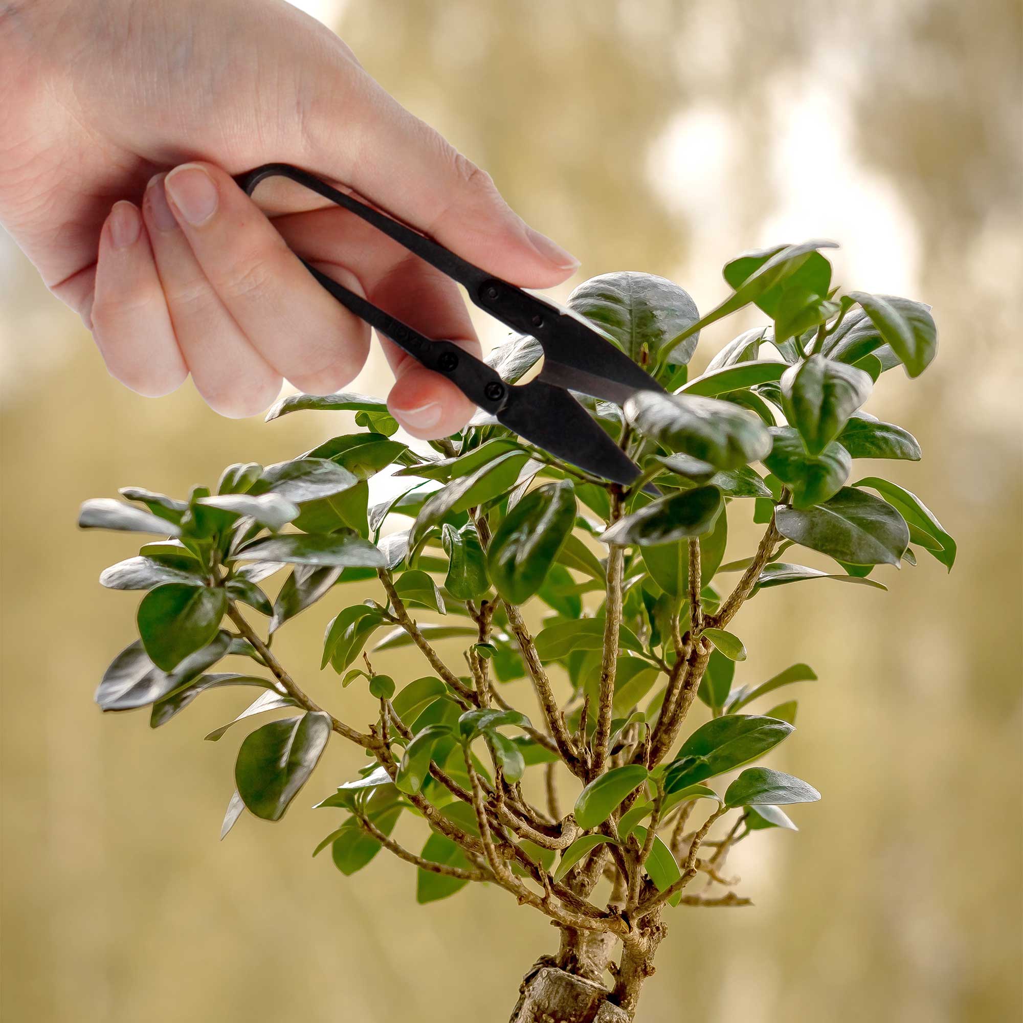 Bonsai 4" Leaf Cutter - Image 2