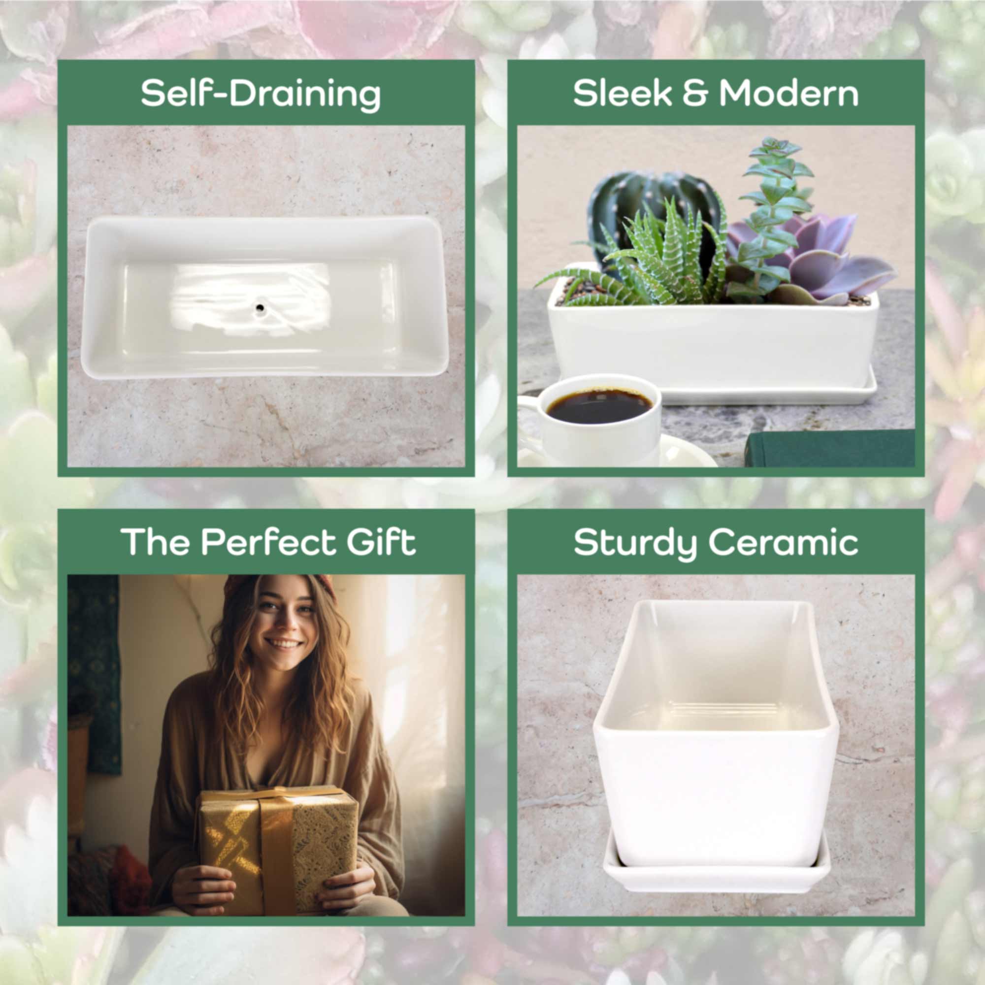 Small White Rectangular Succulent Plant Pot - Image 2