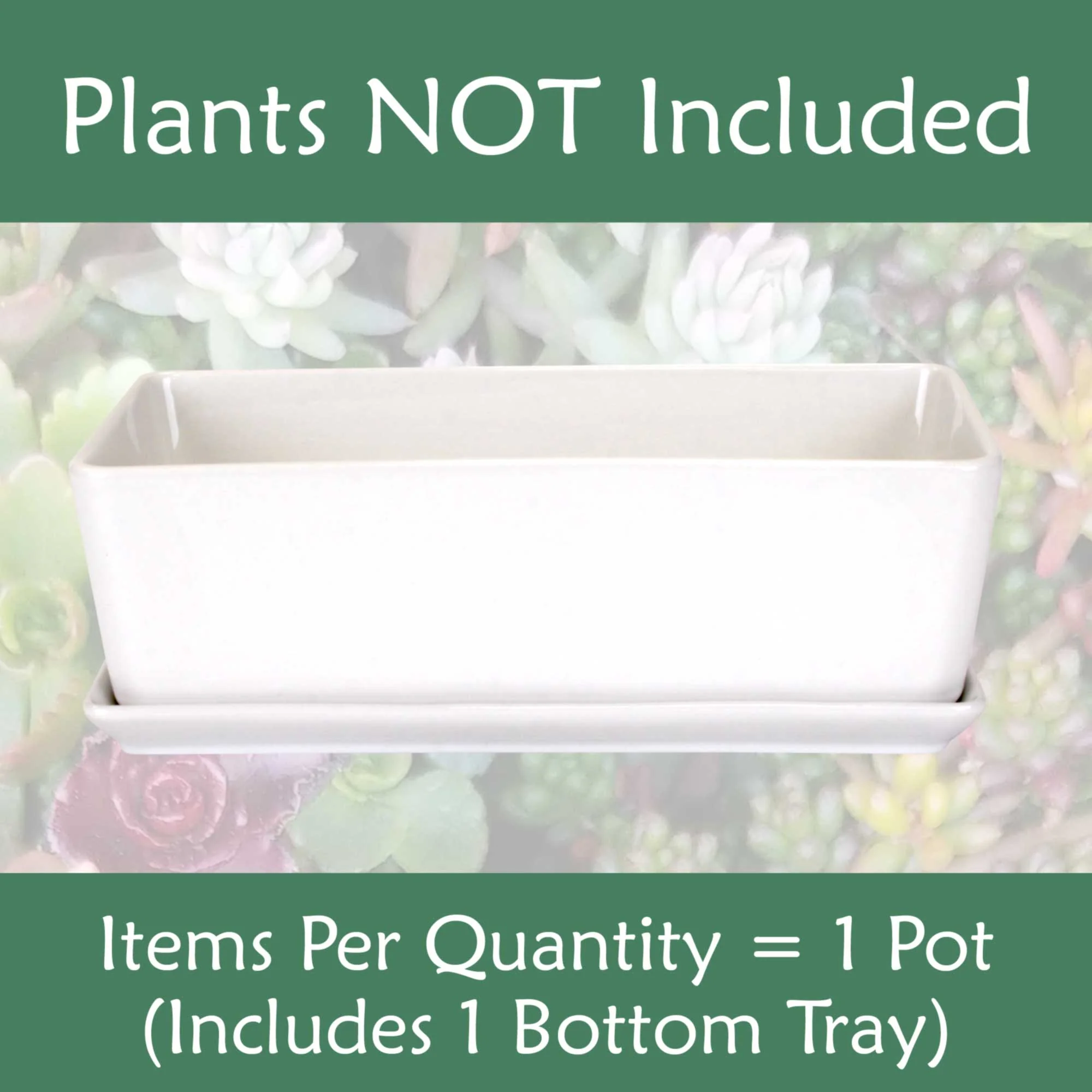 Small White Rectangular Succulent Plant Pot - Image 5