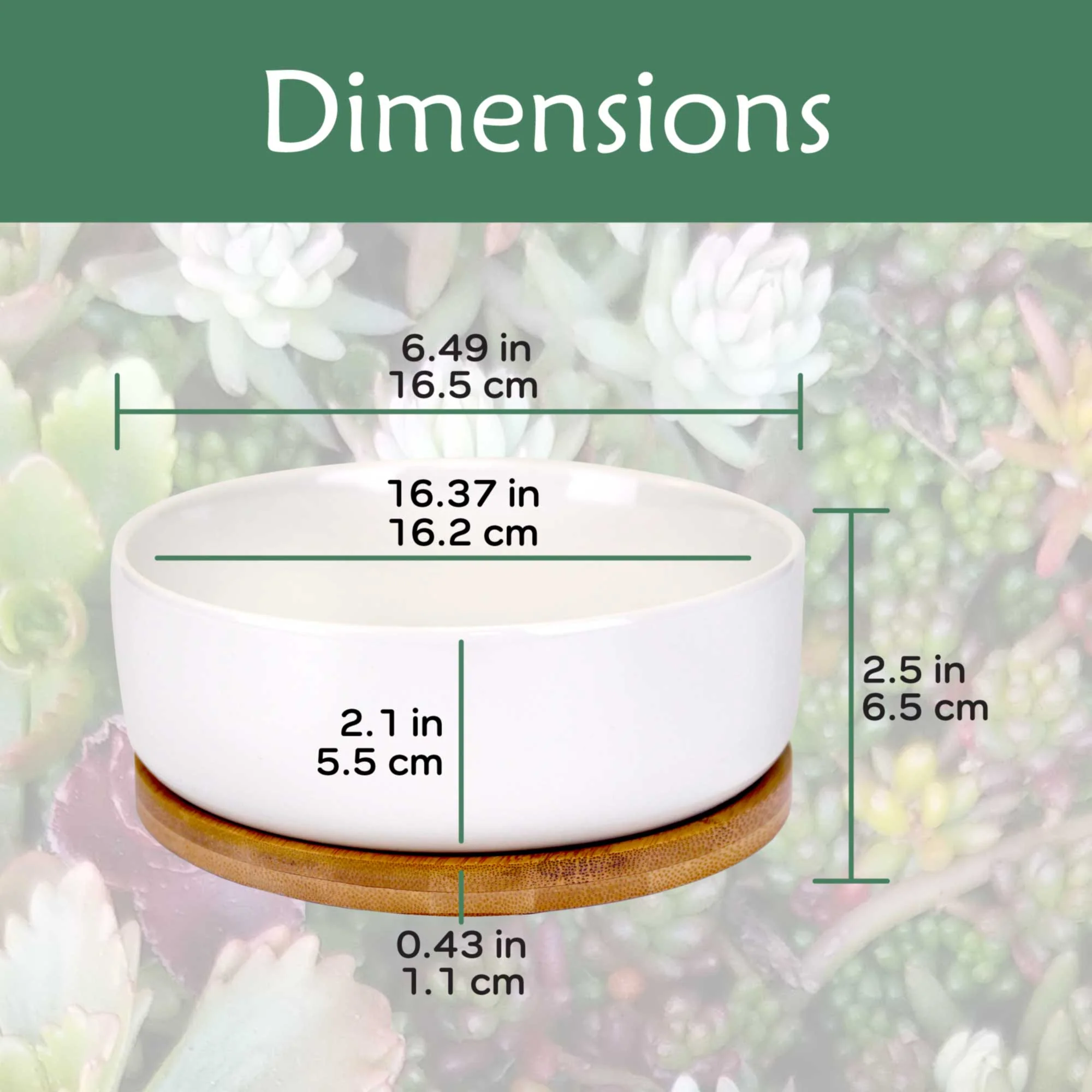 Small Round Succulent Pot with Tray - Image 3