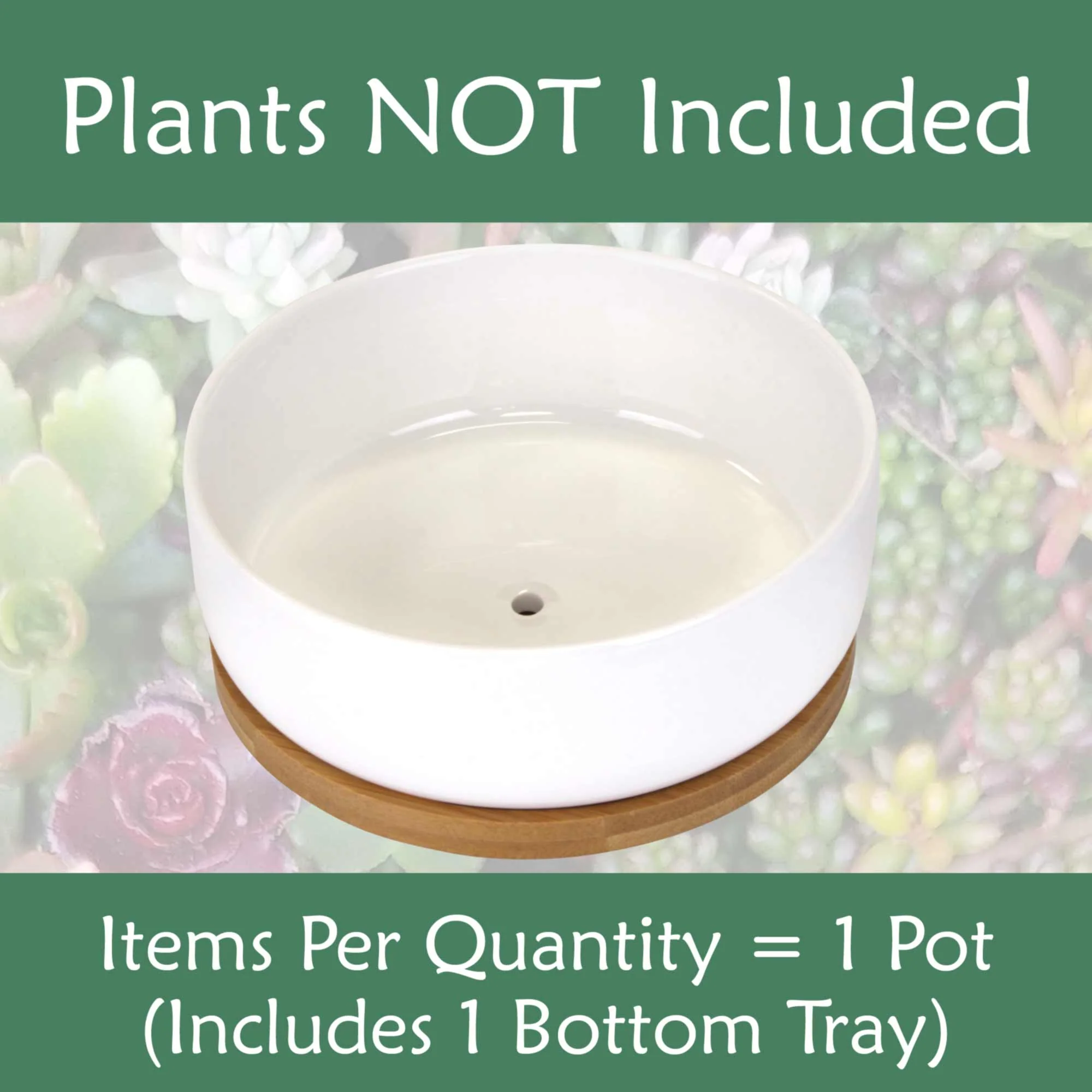 Small Round Succulent Pot with Tray - Image 5