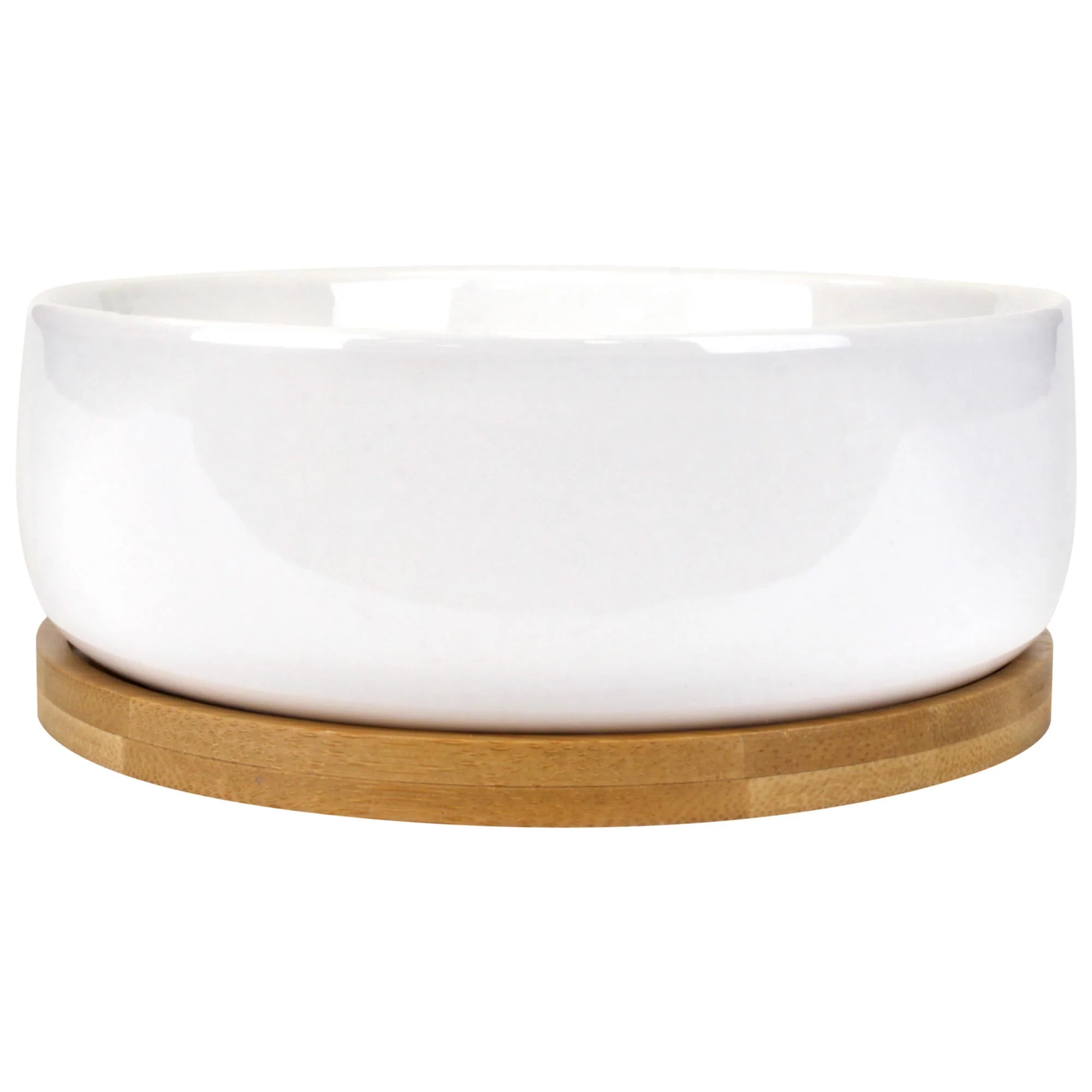 Small Round Succulent Pot with Tray - Image 7
