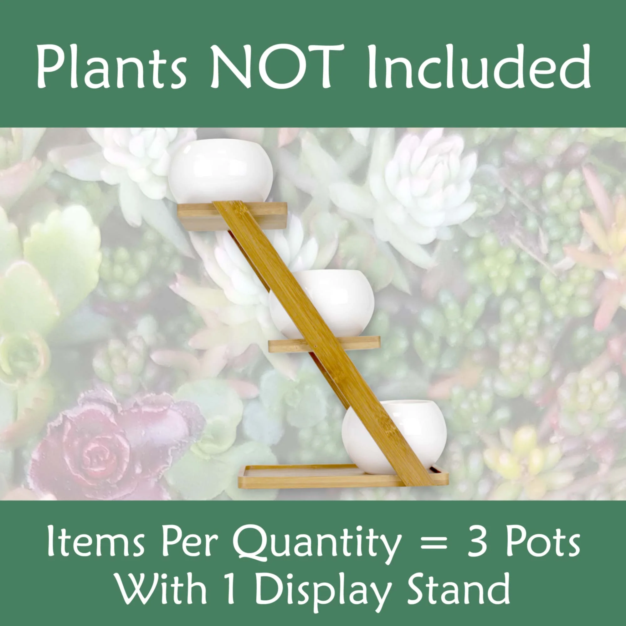 Decorative Succulent Pot Display Set - Image 5