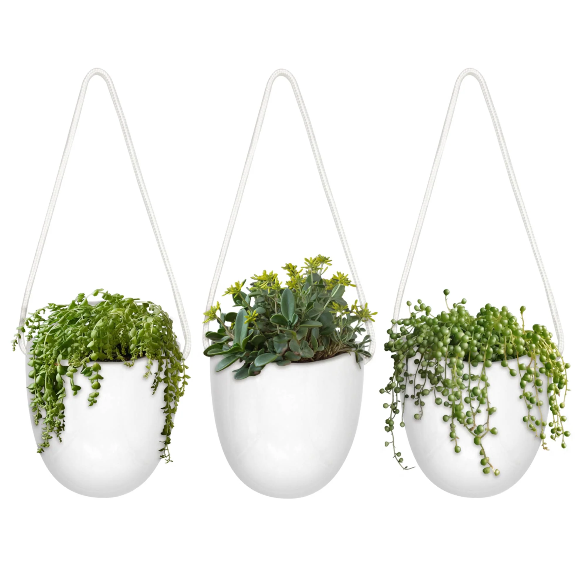 Succulent Pots - 3 Buckets & Ropes