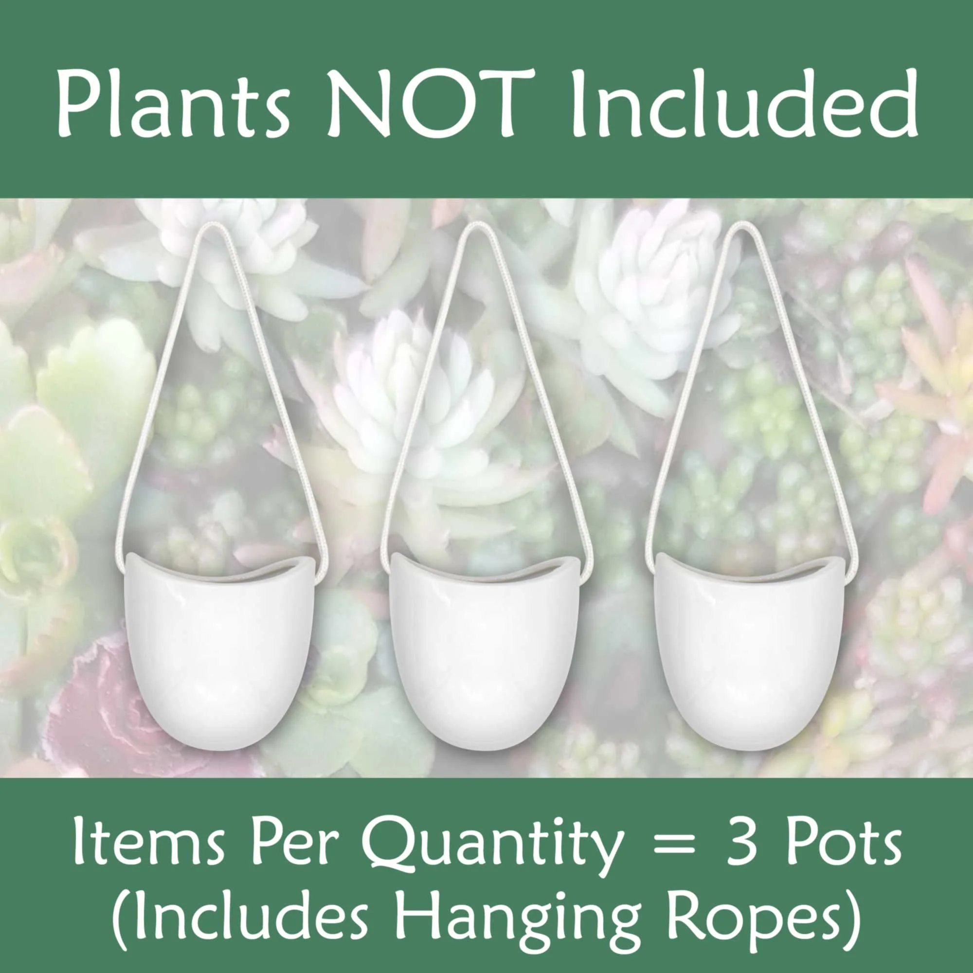 Succulent Pots - 3 Buckets & Ropes - Image 4