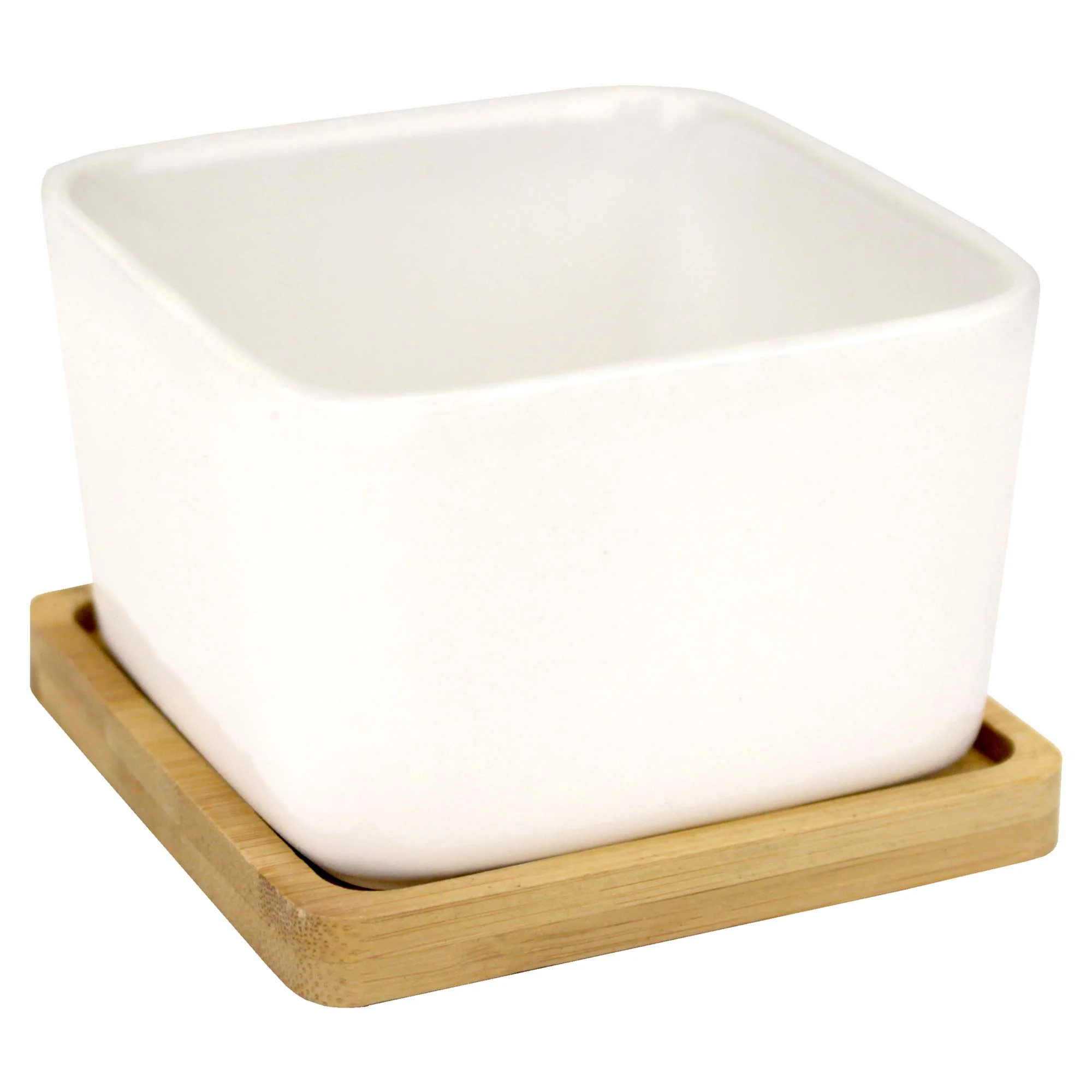 Square Succulent Pots with Tray - Image 7