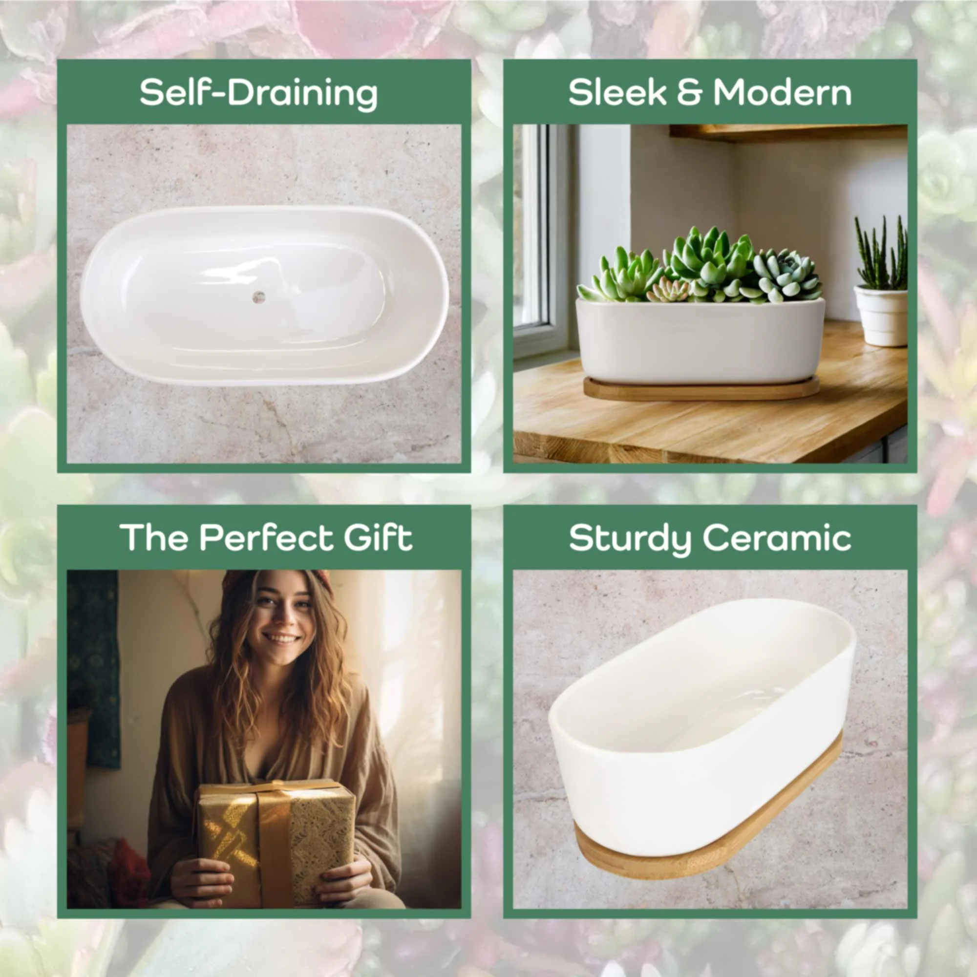 Short Oval Succulent Plant Pot with Tray - Image 5
