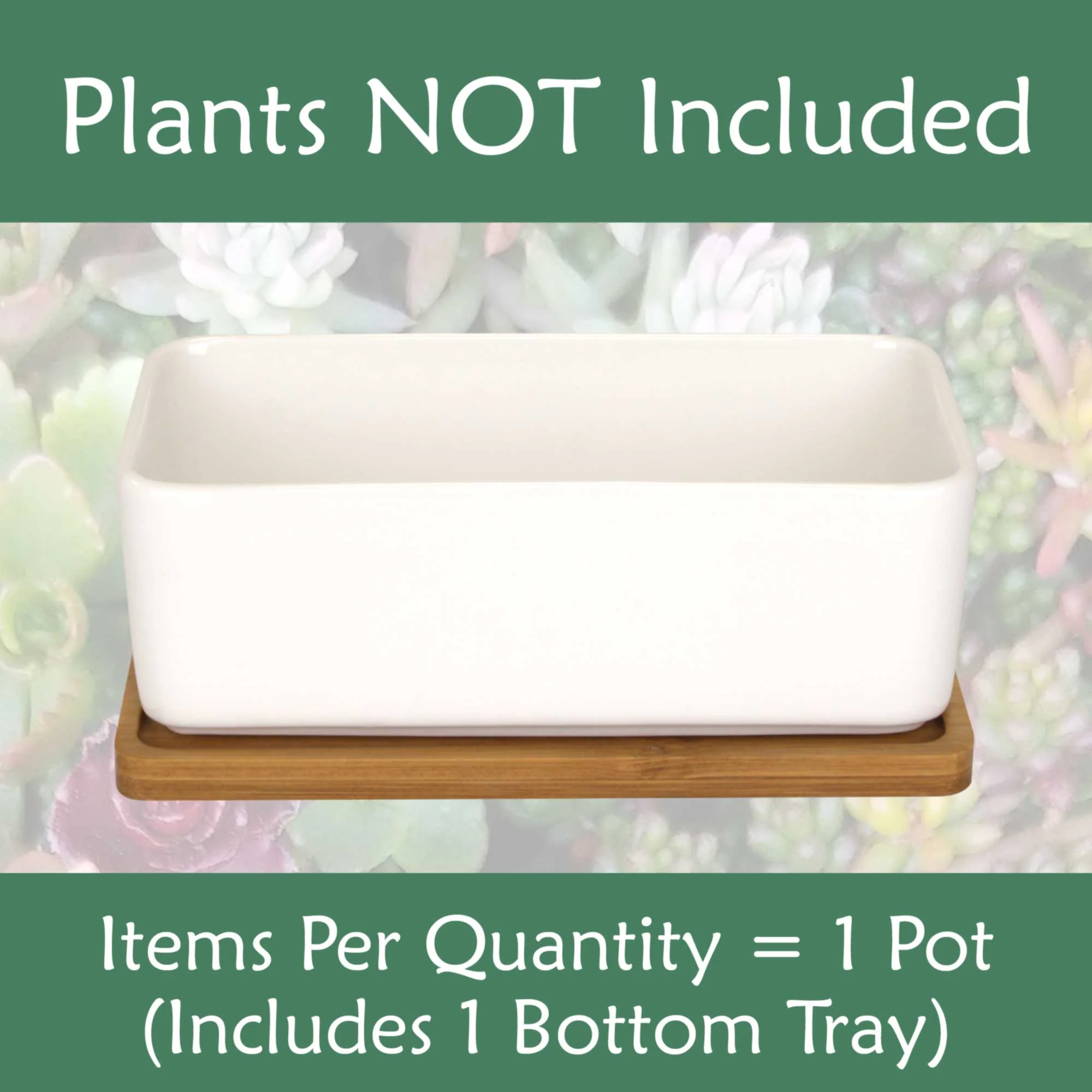 Rectangle Succulent Plant Pots with Tray - Image 6
