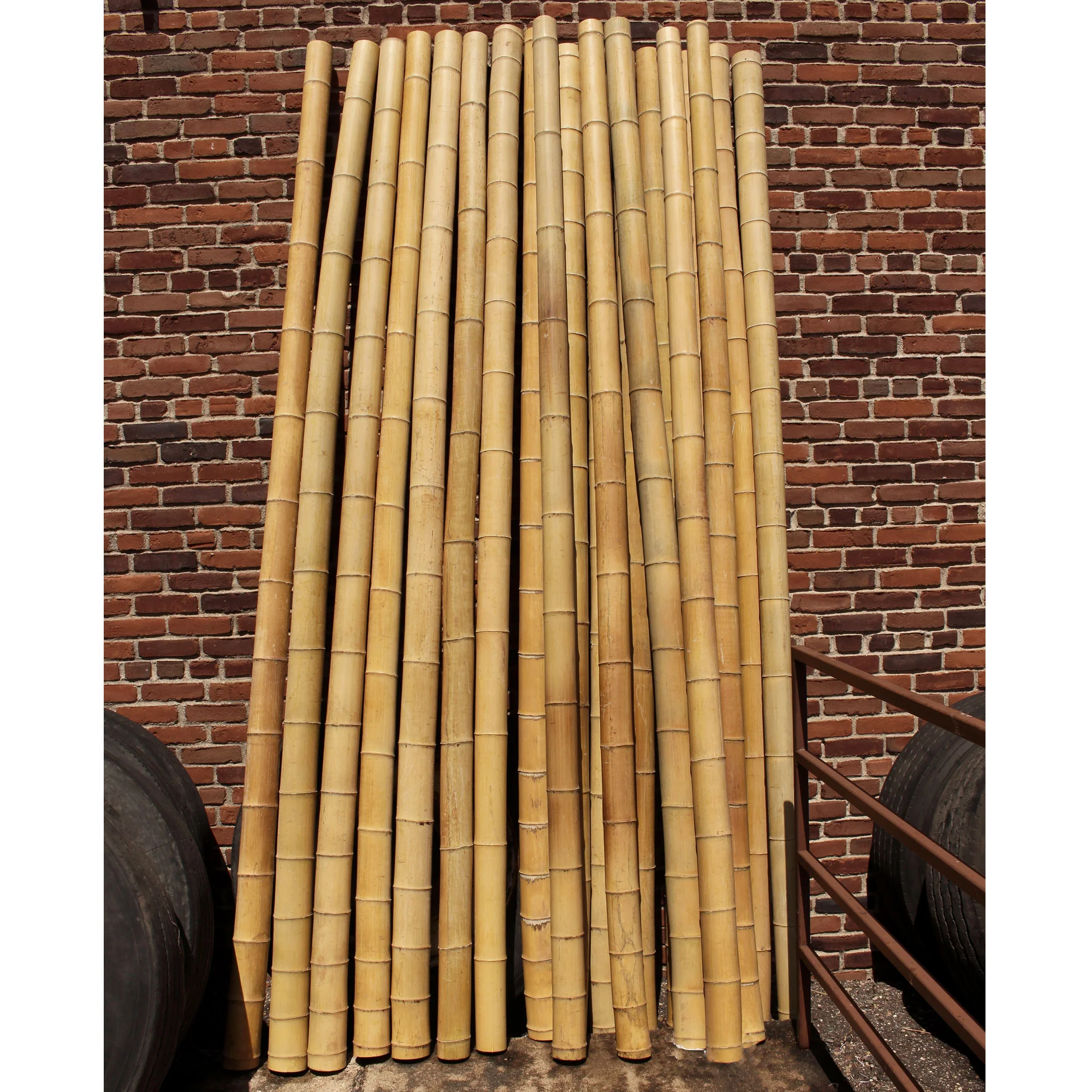 Thick Bamboo Poles, 10 Feet Long - Image 2