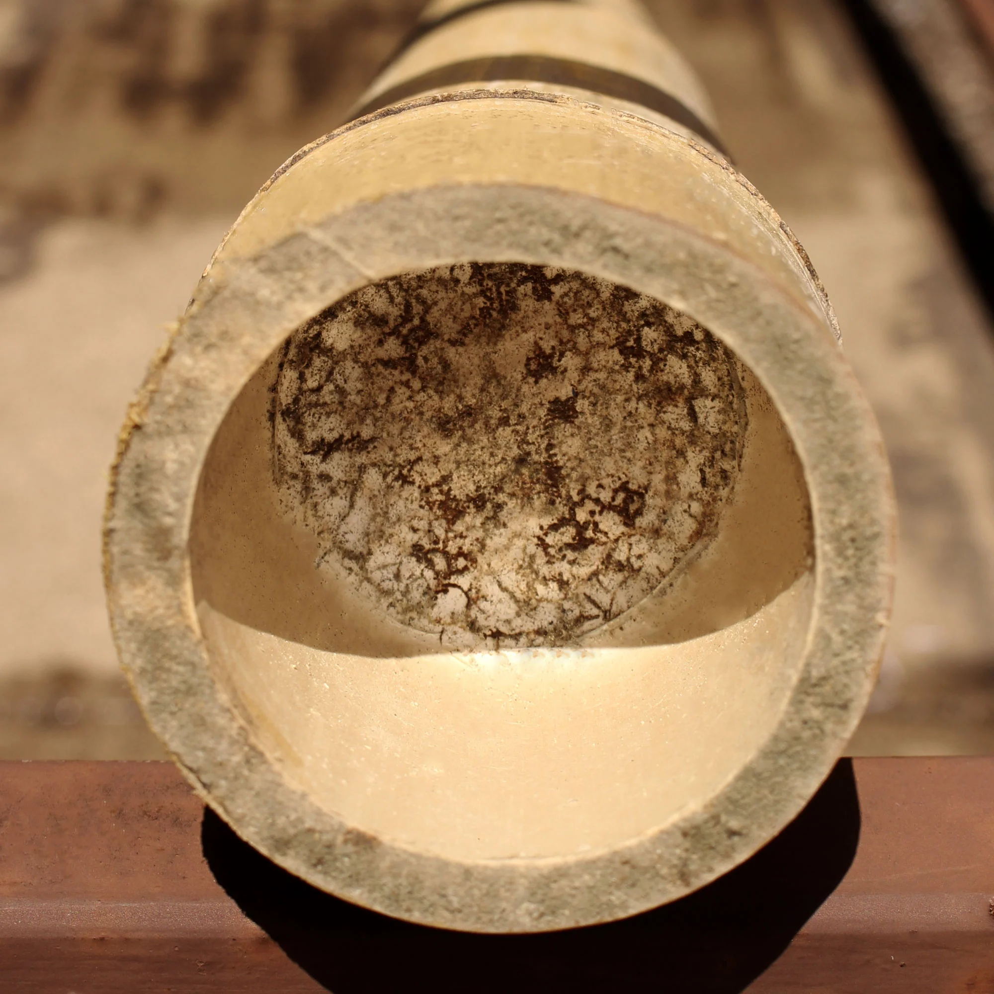 Thick Bamboo Poles, 10 Feet Long - Image 3