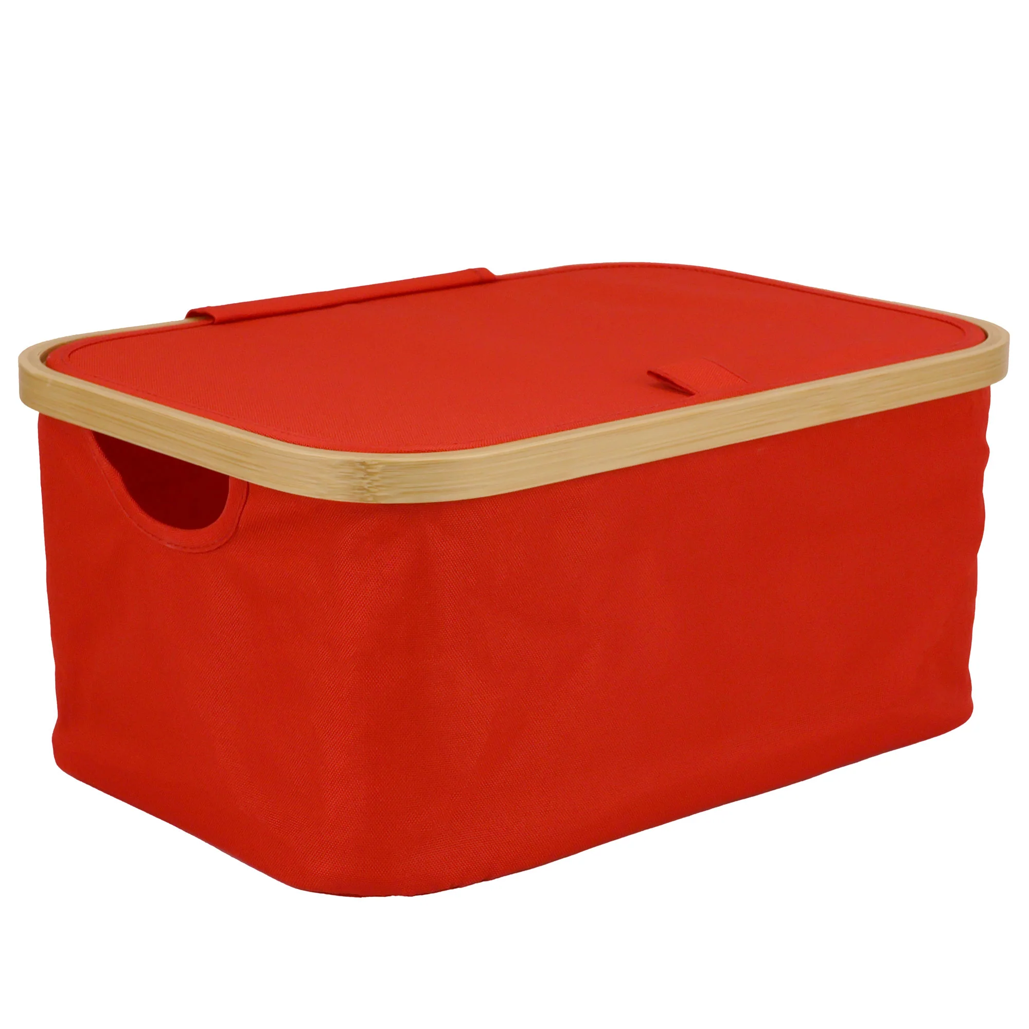Foldable Storage Organizer with Lid - Image 10